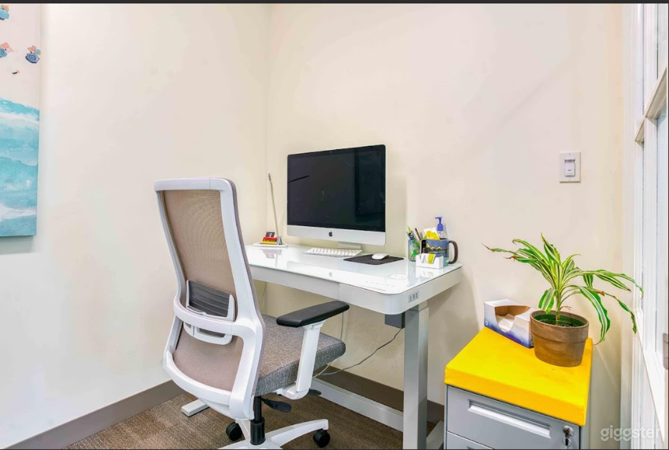 Private Office Photo 3