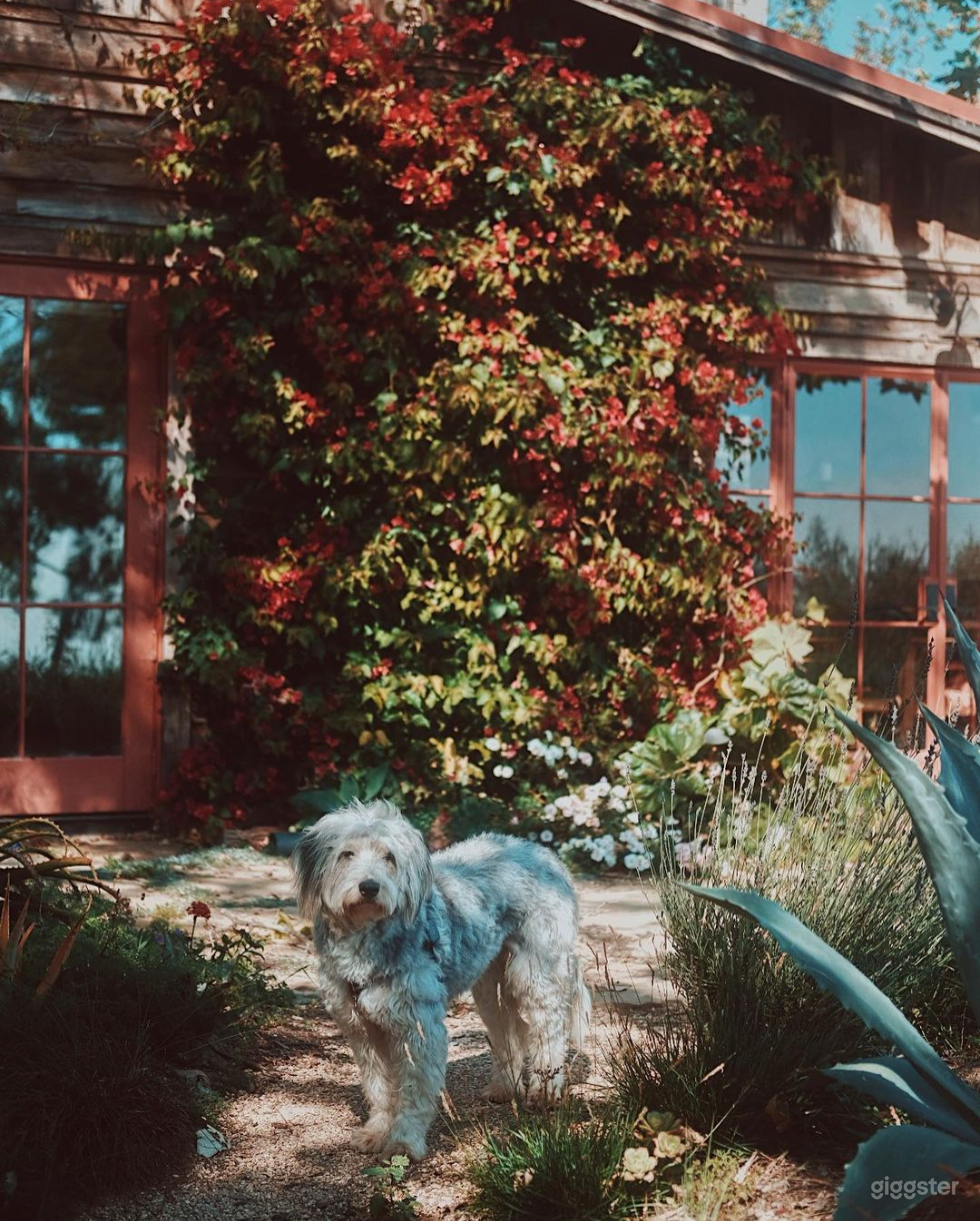 Avocado Farm With Three Houses, Barn &amp; Ocean View  Photo 4