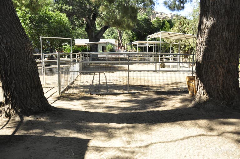  Horse Ranch with and Large Rustic Backyard 