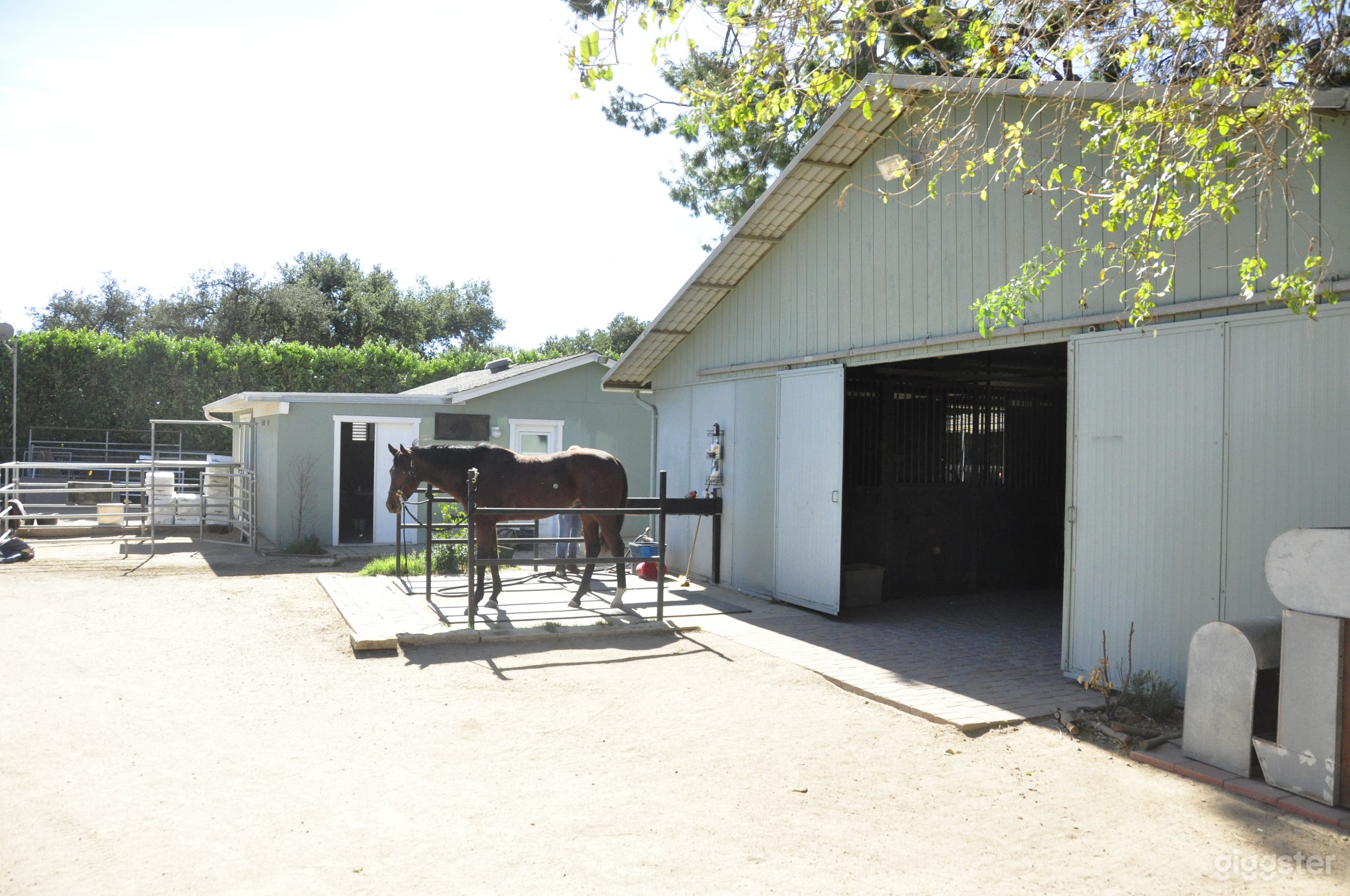 Horse Ranch with and Large Rustic Backyard Photo 4