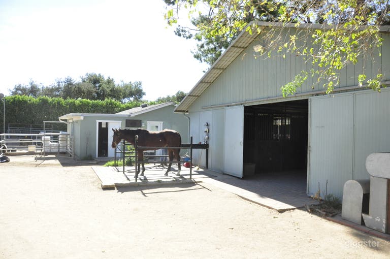  Horse Ranch with and Large Rustic Backyard 