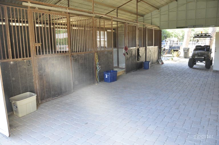  Horse Ranch with and Large Rustic Backyard 