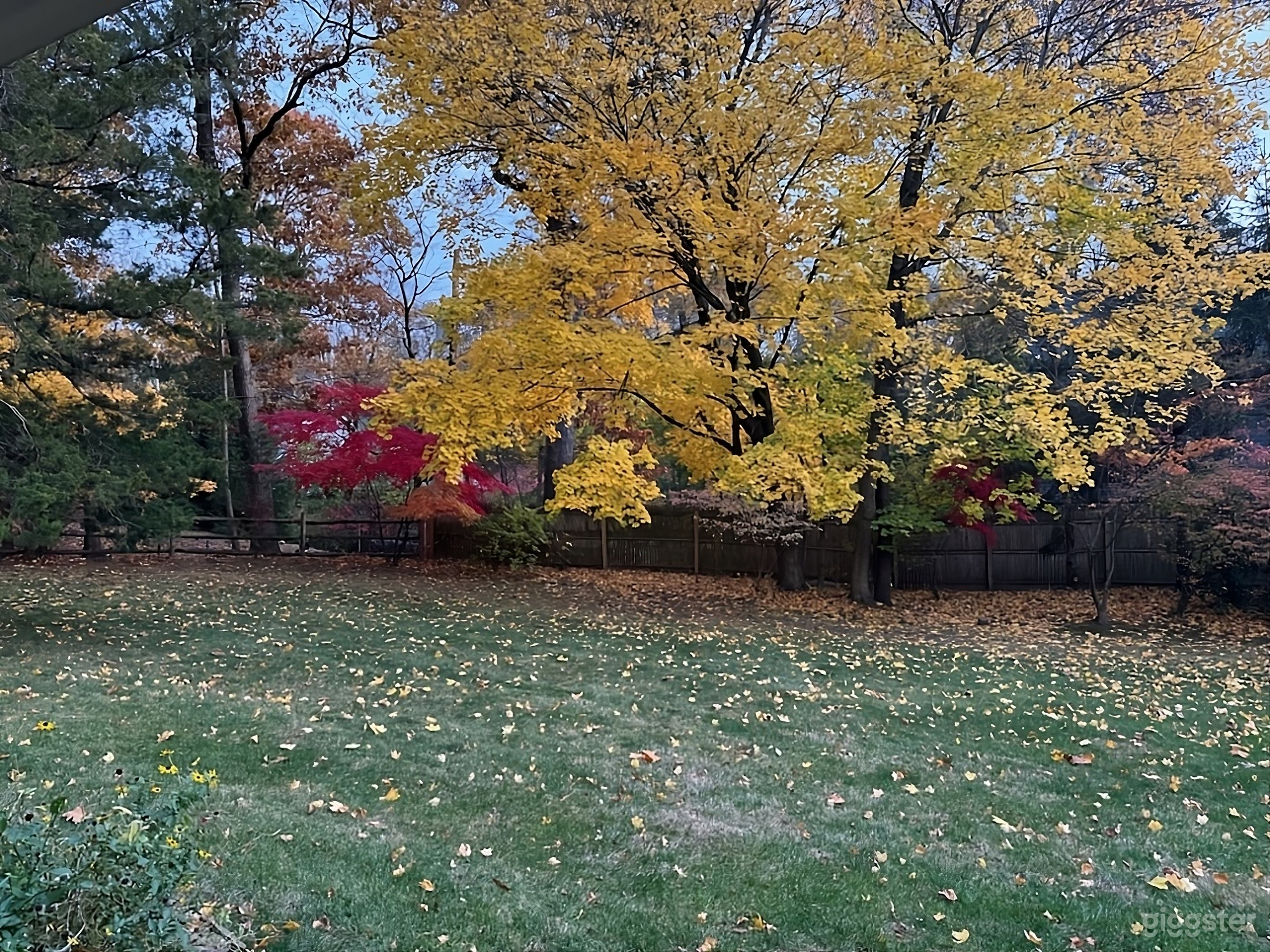 Secluded and Spacious Backyard Photo 3