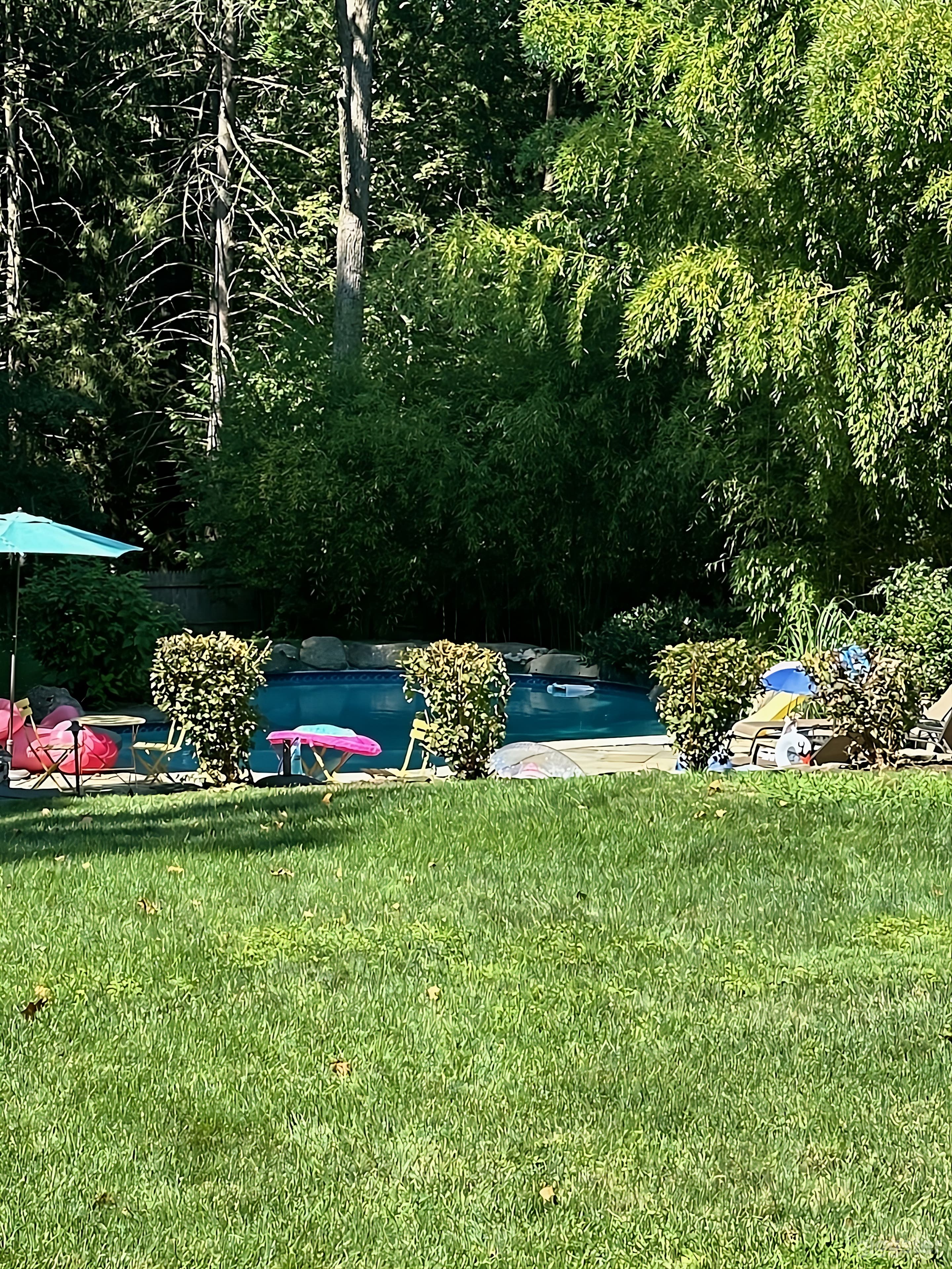 Secluded and Spacious Backyard Photo 2