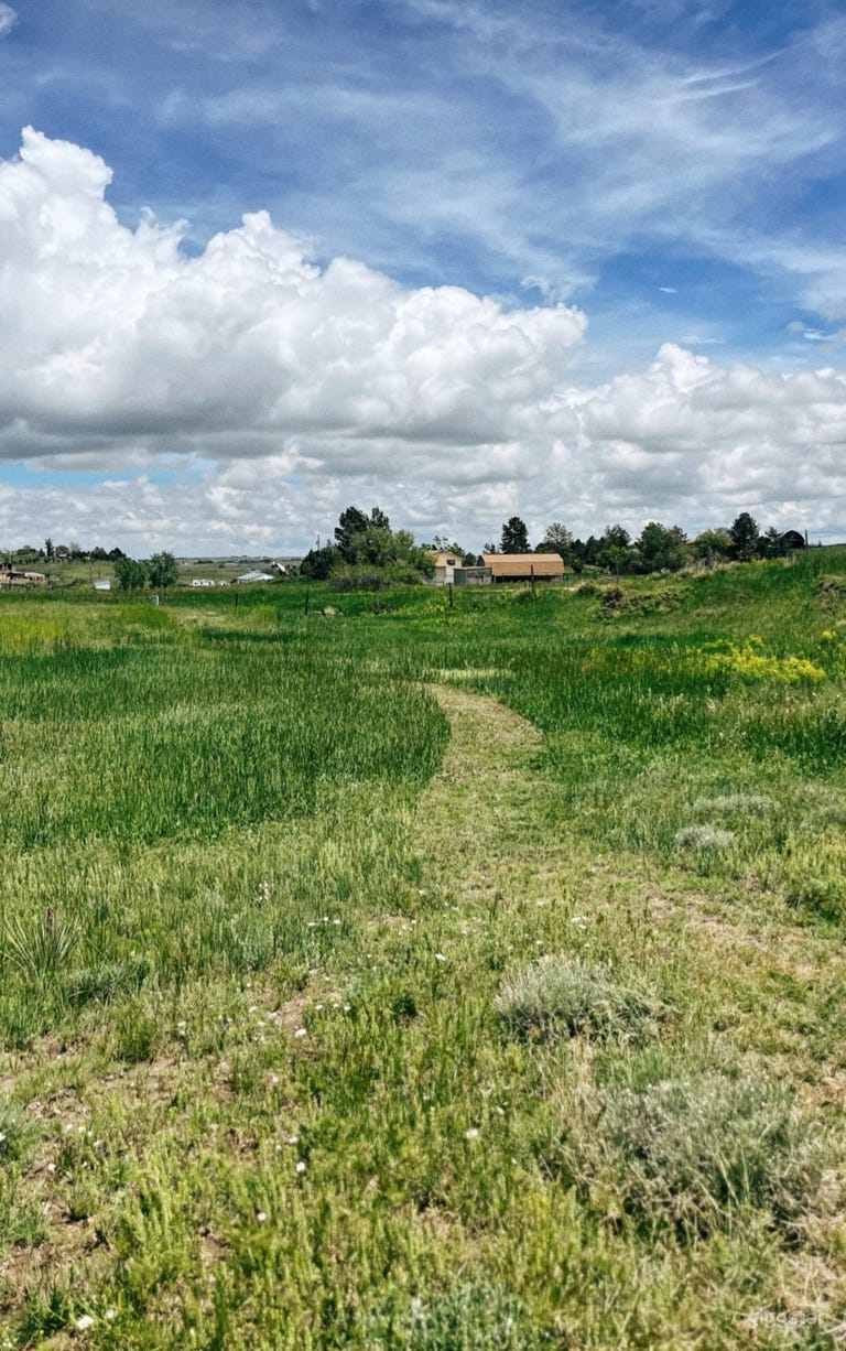  views of meadow/pastures 
