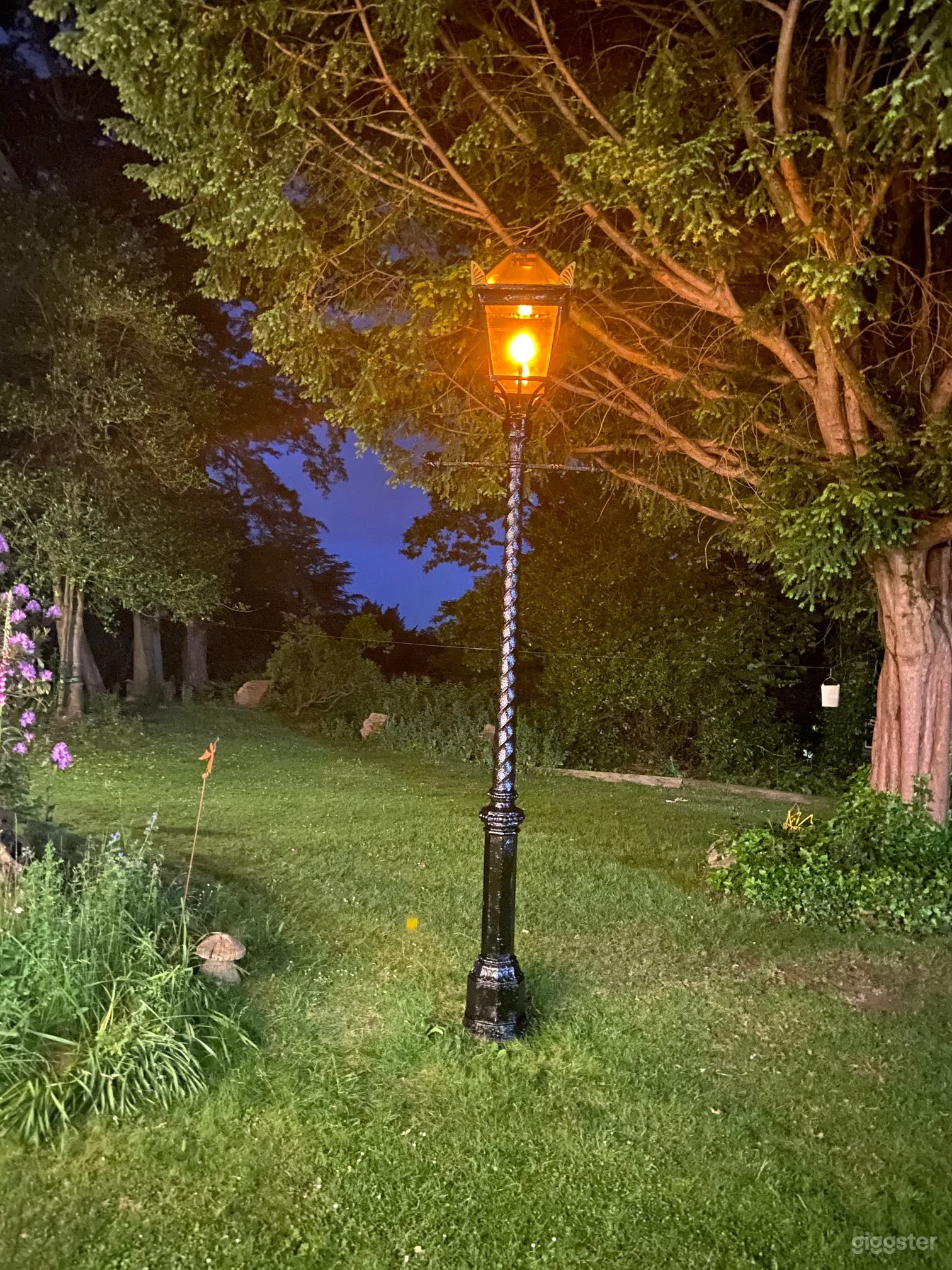 Victorian Lodge, large grounds &amp; treetop out look Photo 4