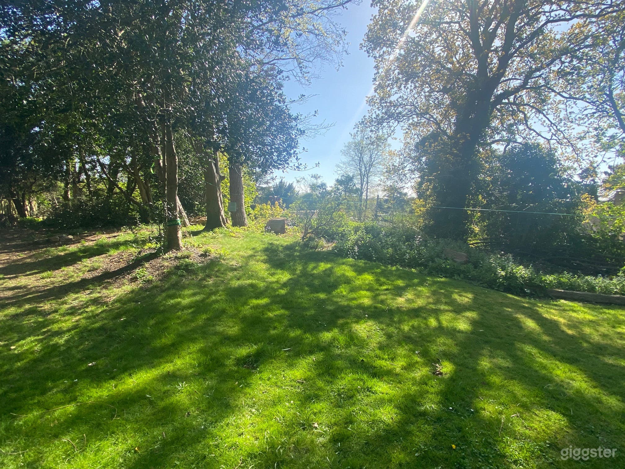 Victorian Lodge, large grounds &amp; treetop out look Photo 2