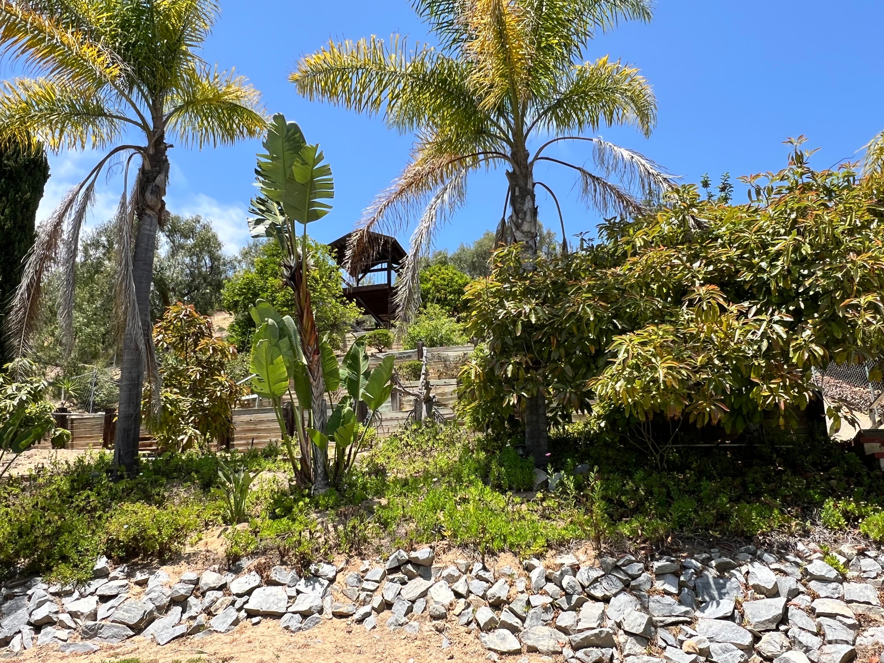 Lush, Tranquil, Quiet Yard with Pool Photo 2