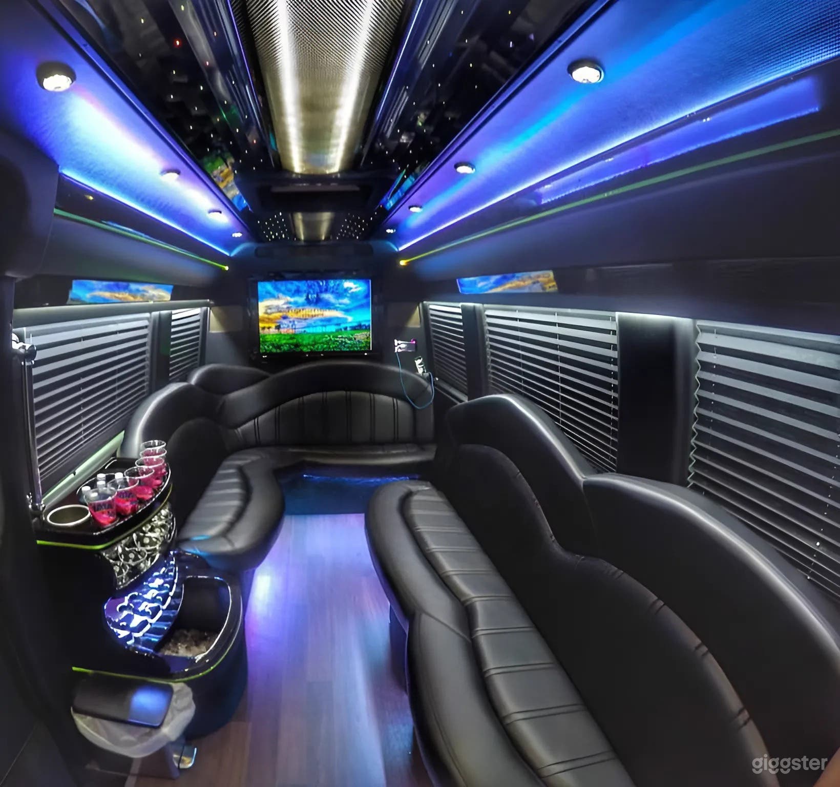 16 Pax MBZ Sprinter Limo Photo 4