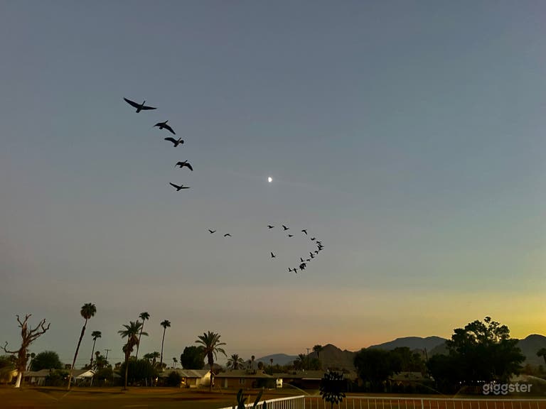  Palm Desert Country Club Home w/ Mountain View’s 