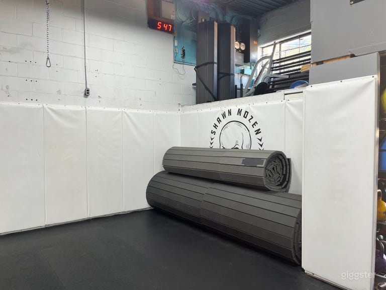  Well Equiped Boutique Gym - For Trainers & Filming 