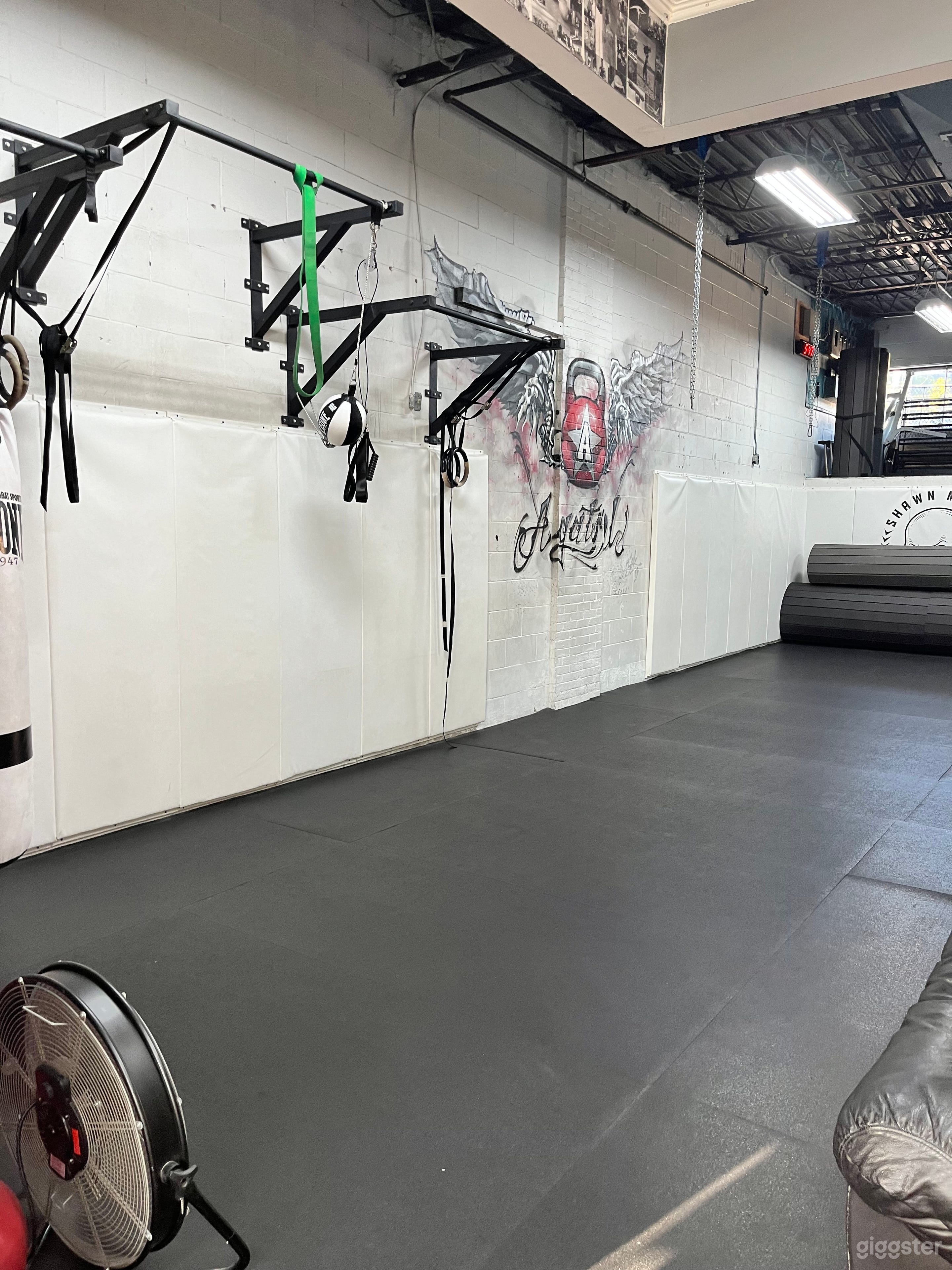 Well Equiped Boutique Gym - For Trainers &amp; Filming Photo 3