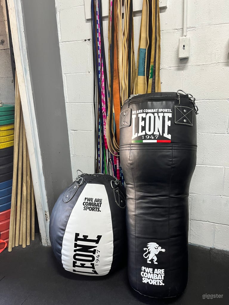  Well Equiped Boutique Gym - For Trainers & Filming 