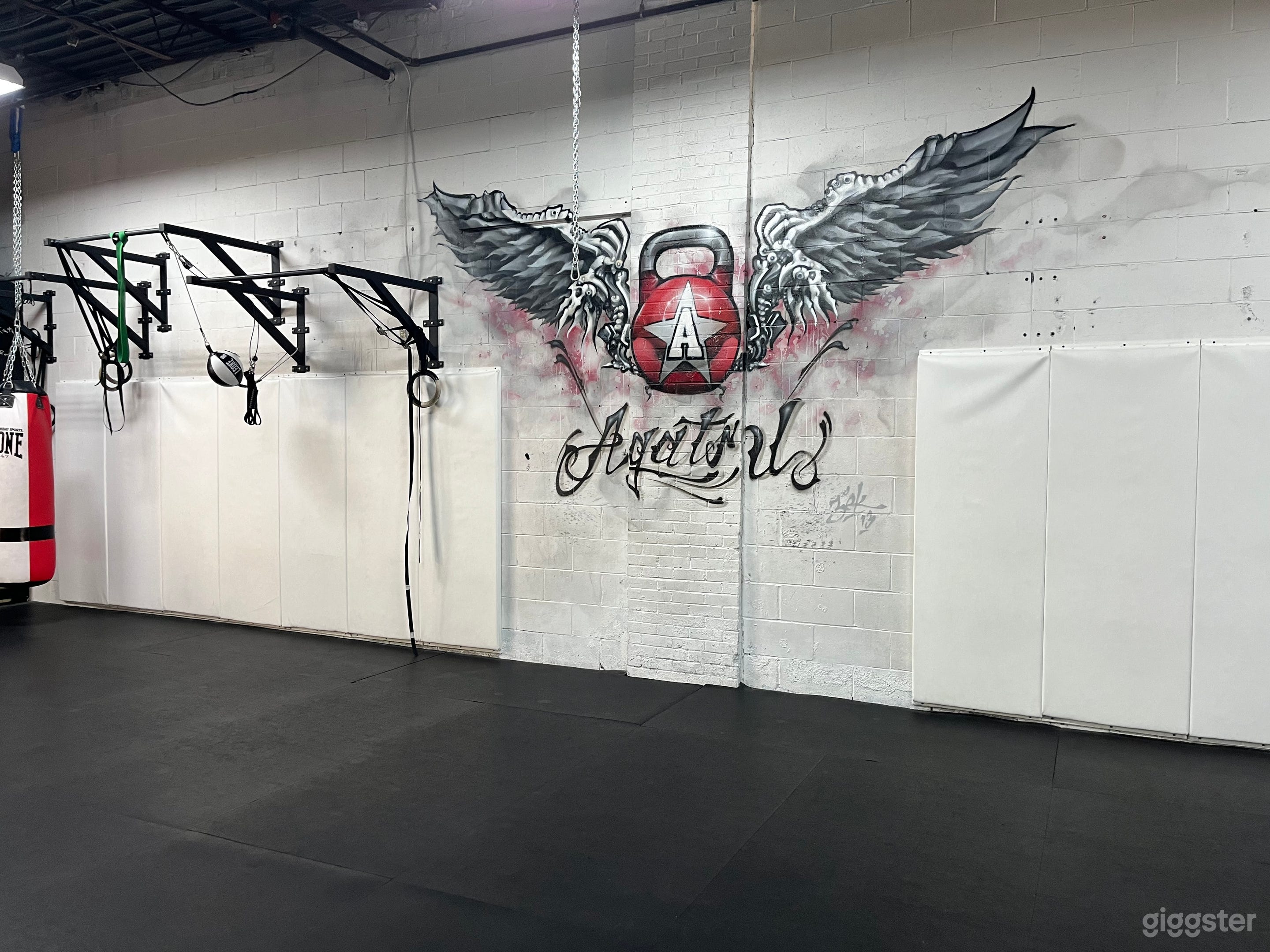 Well Equiped Boutique Gym - For Trainers &amp; Filming Photo 1