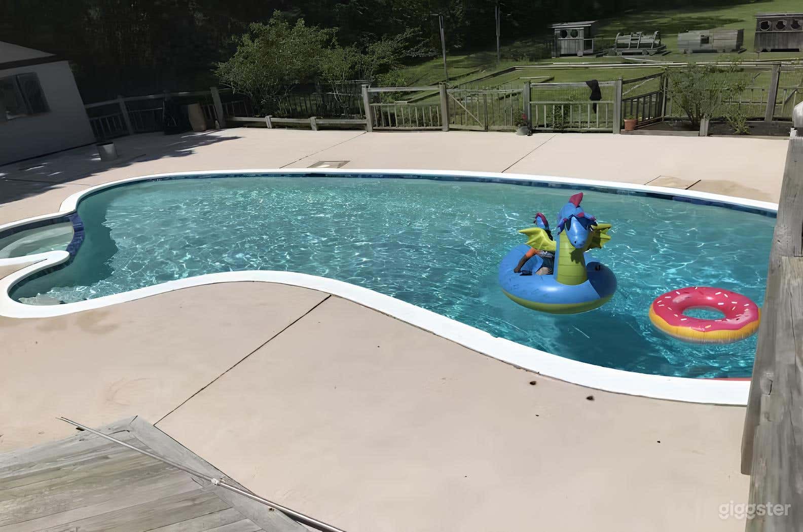 Pristine Pool Oasis  Photo 2