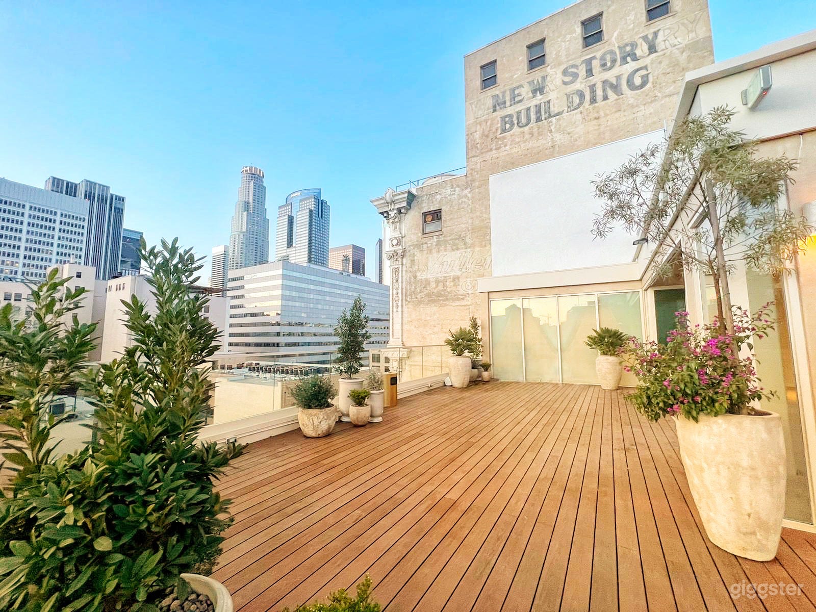 Beautiful Rooftop in the heart of DTLA