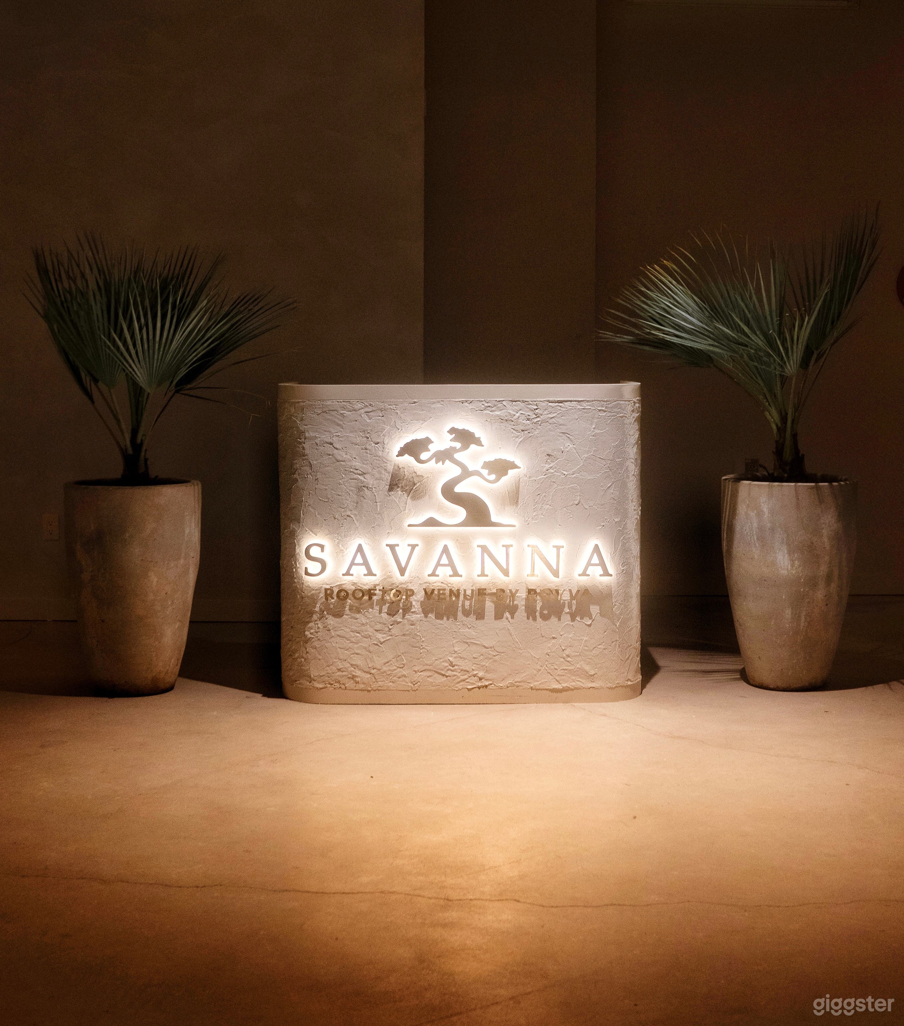 Savanna Rooftop -  Downtown LA - Indoor & Outdoor Photo 2