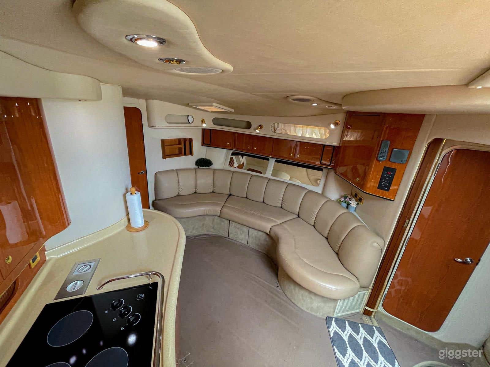 Marvelous 40FT Sea Ray Rosbel Party Yacht Space Events  Photo 2