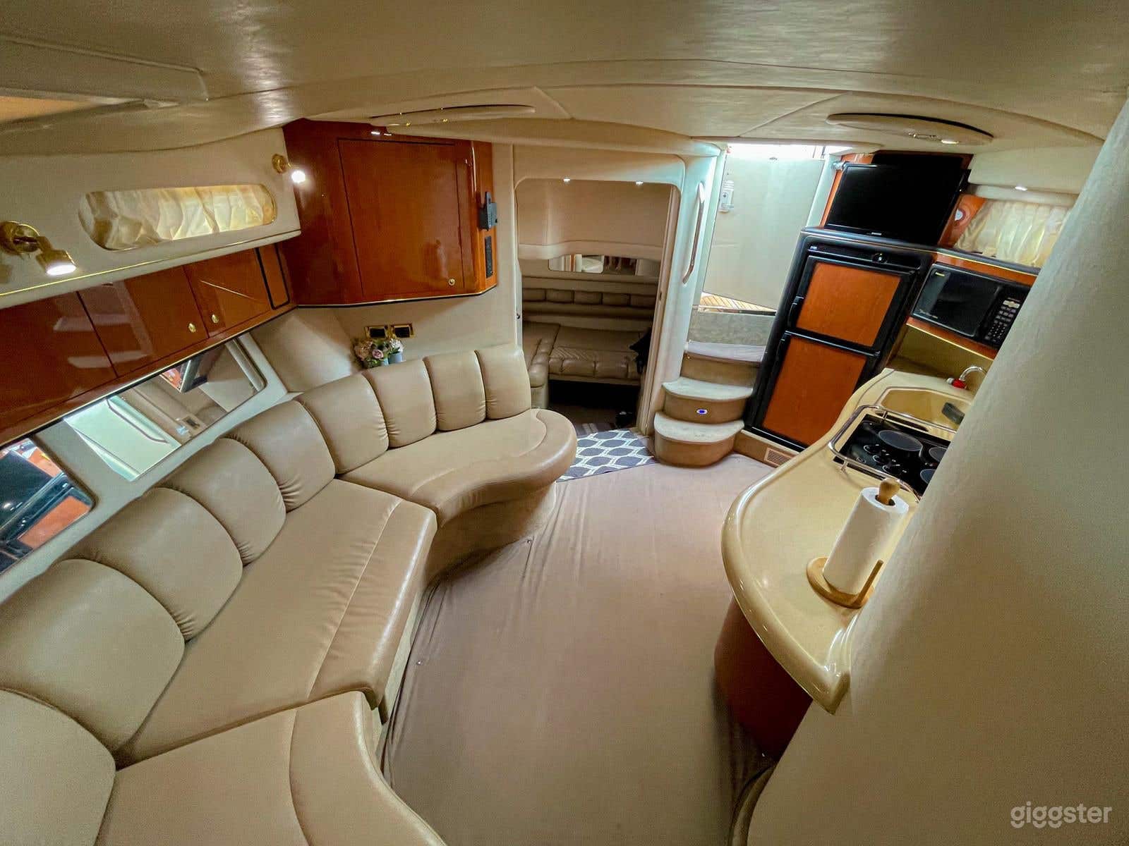 Marvelous 40FT Sea Ray Rosbel Party Yacht Space Events  Photo 1