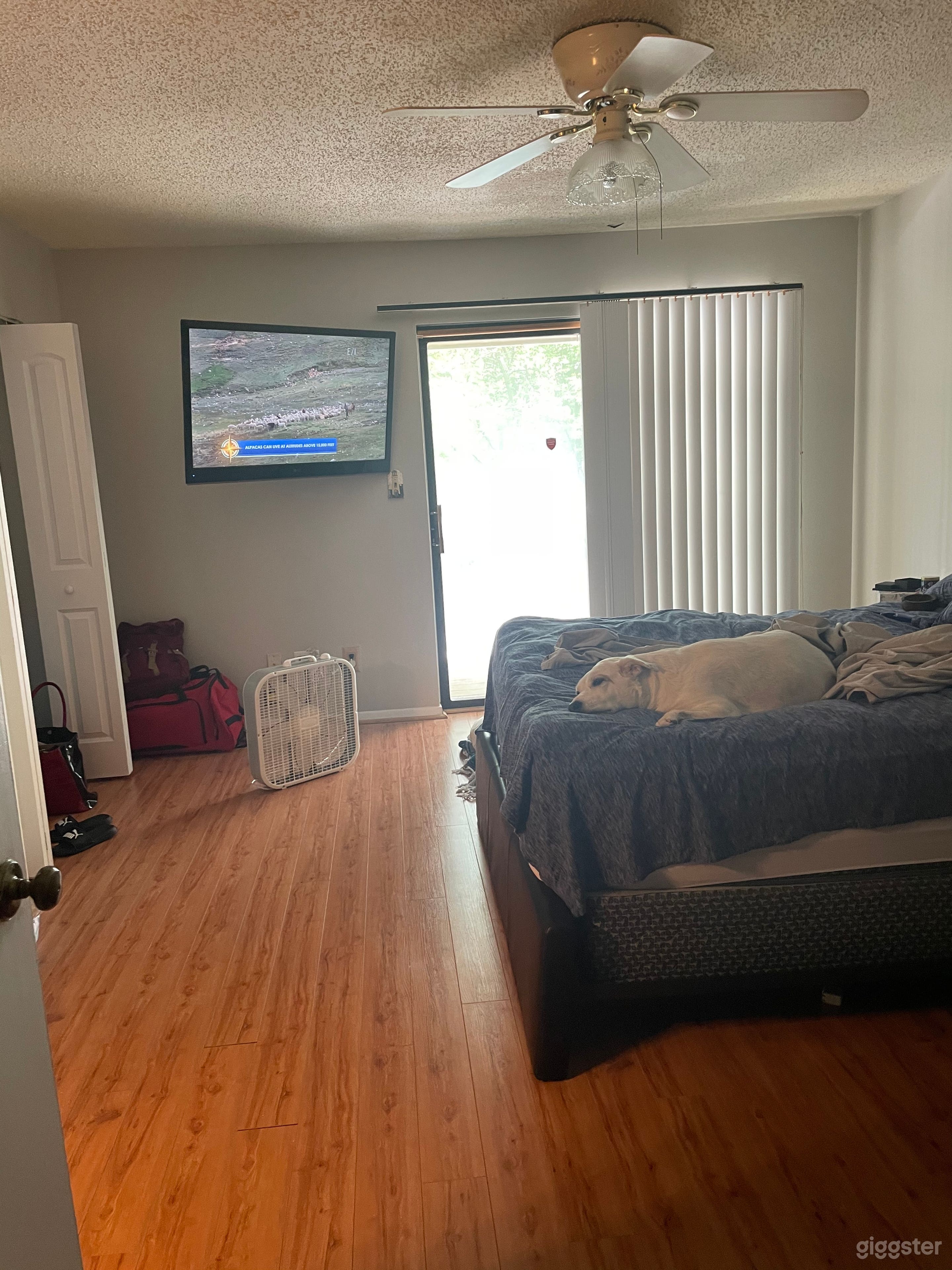 Movie Magic Happens Here!  Photo 4