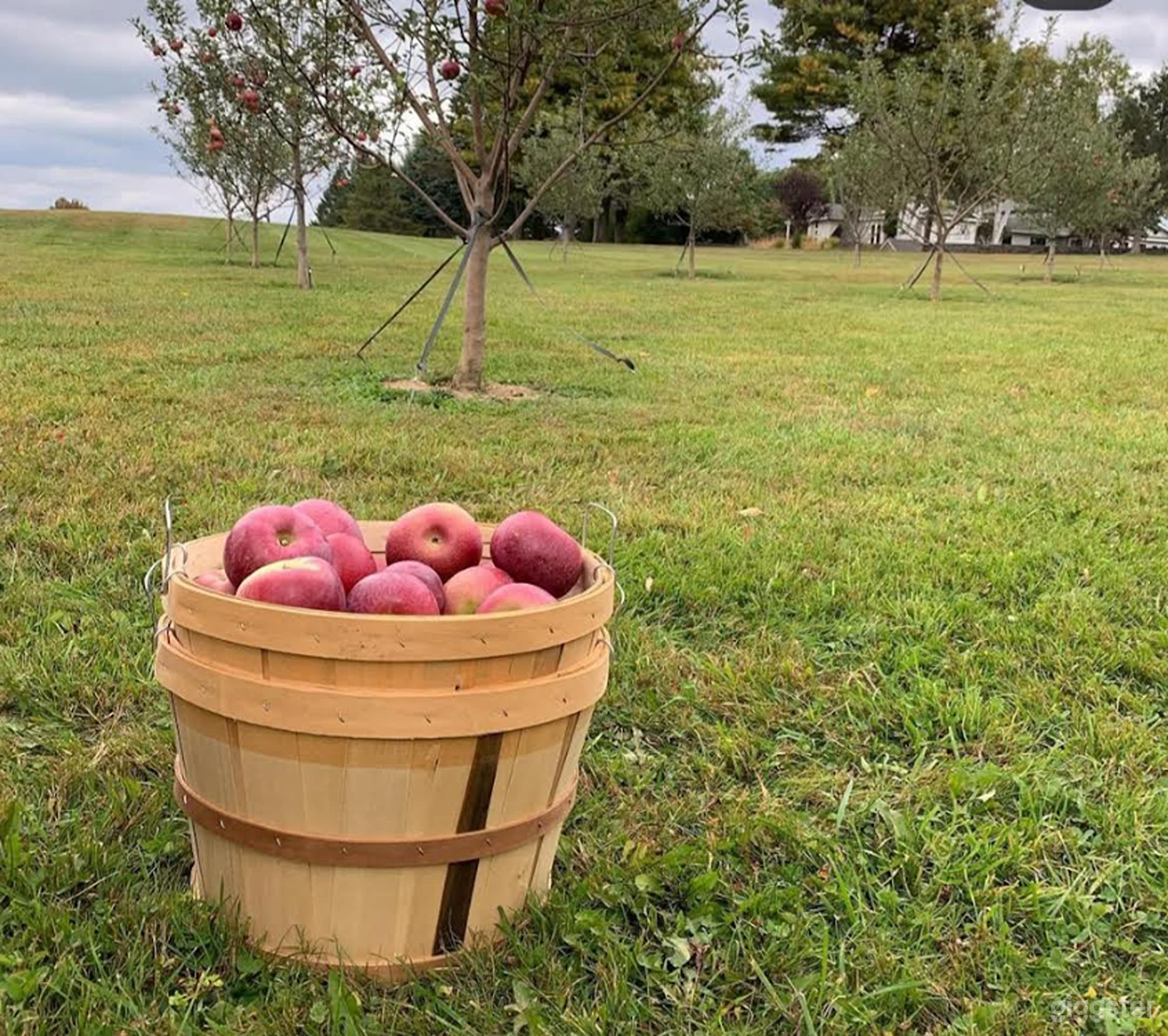 Farmhouse Retreat — A Countryside Escape Photo 4