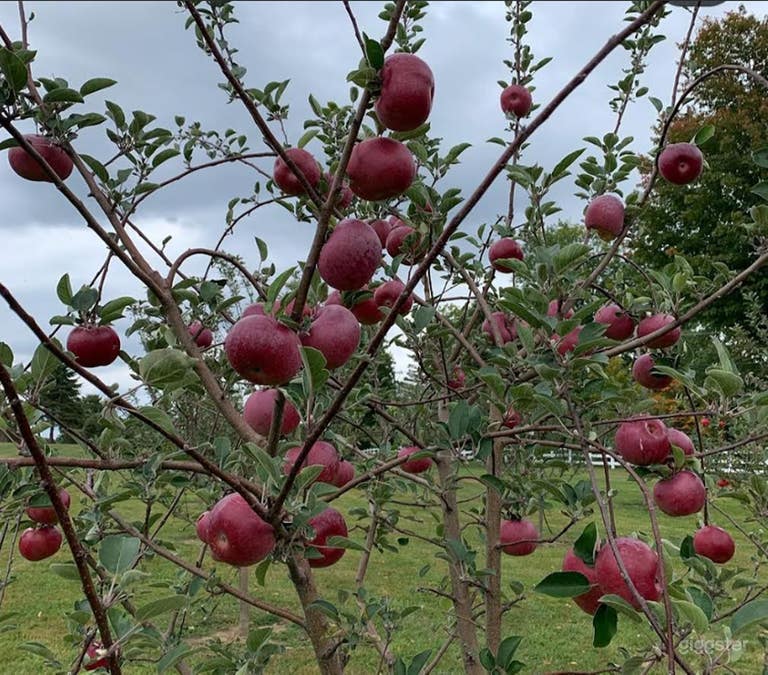  Retiro en la granja — Una escapada al campo 