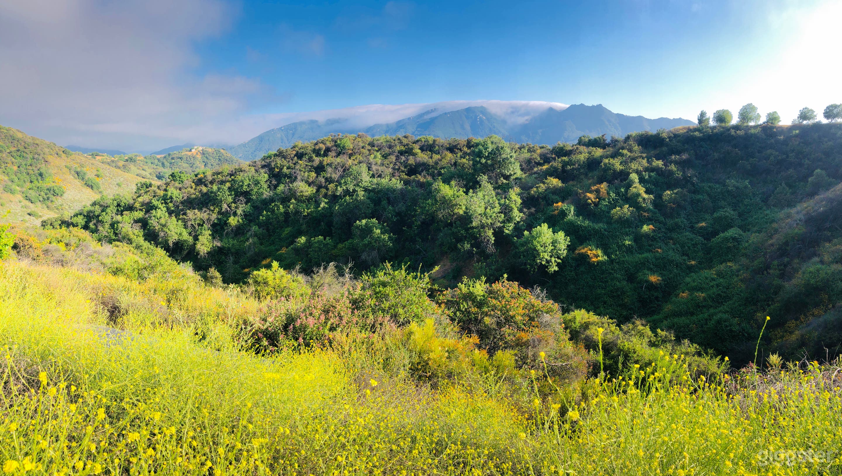 Epic mountain top property ocean view 360 view... Photo 4