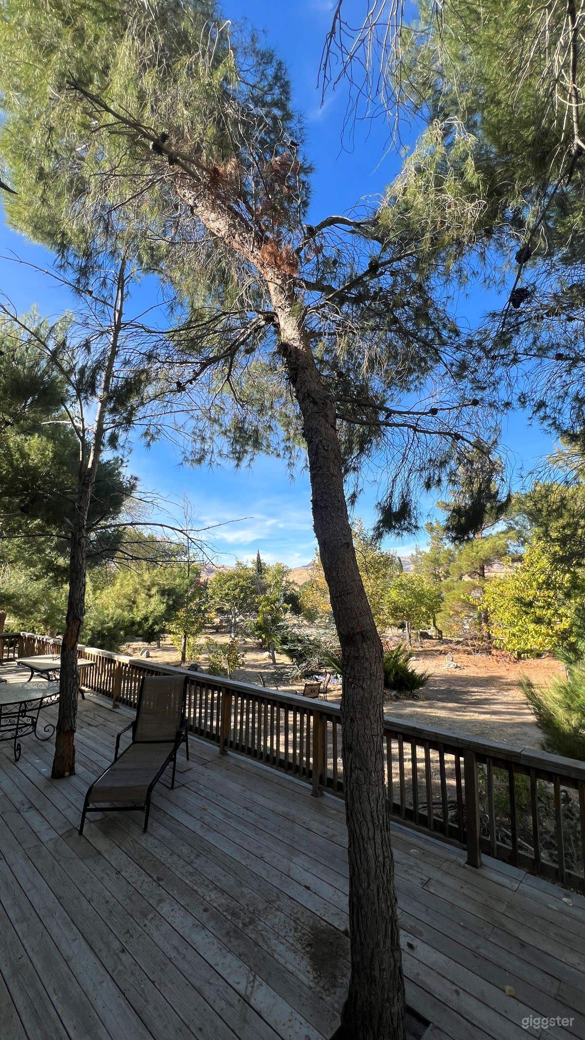 RUSTIC 5 ACRE PROPERTY W/ GUESTHOUSE QUAIL LAKE Photo 3