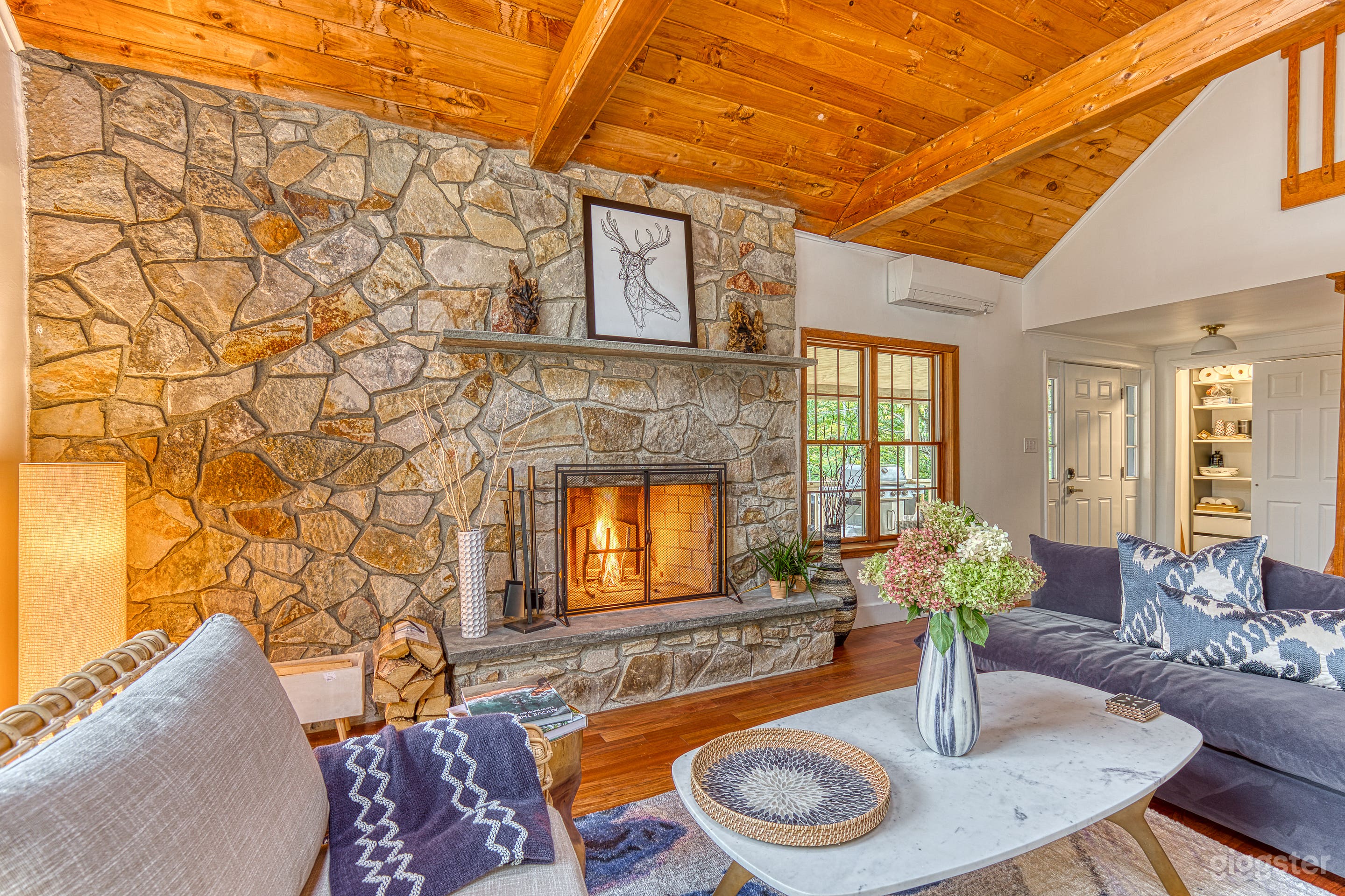 Living room with fireplace