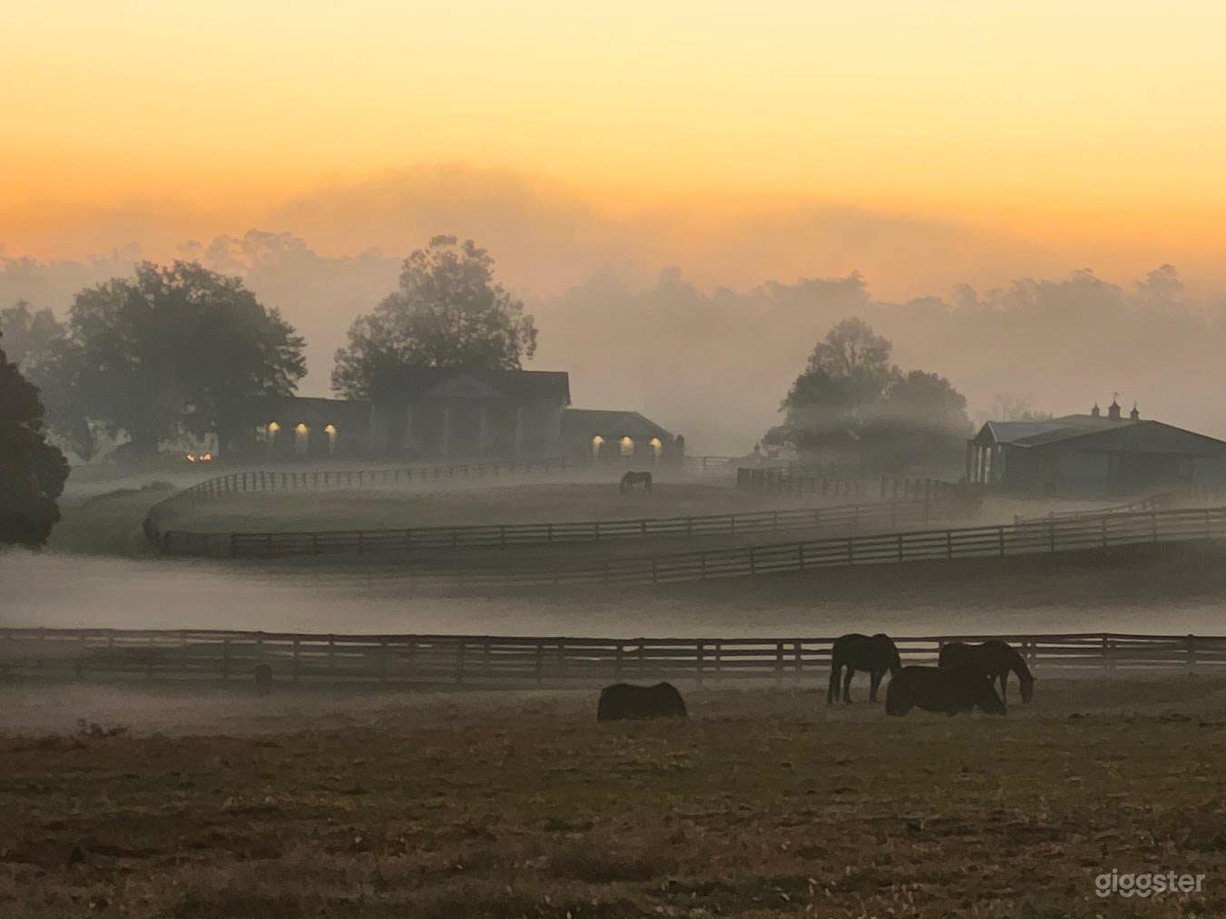 Enchanting 140 Acre Blue Grass Estate Photo 3