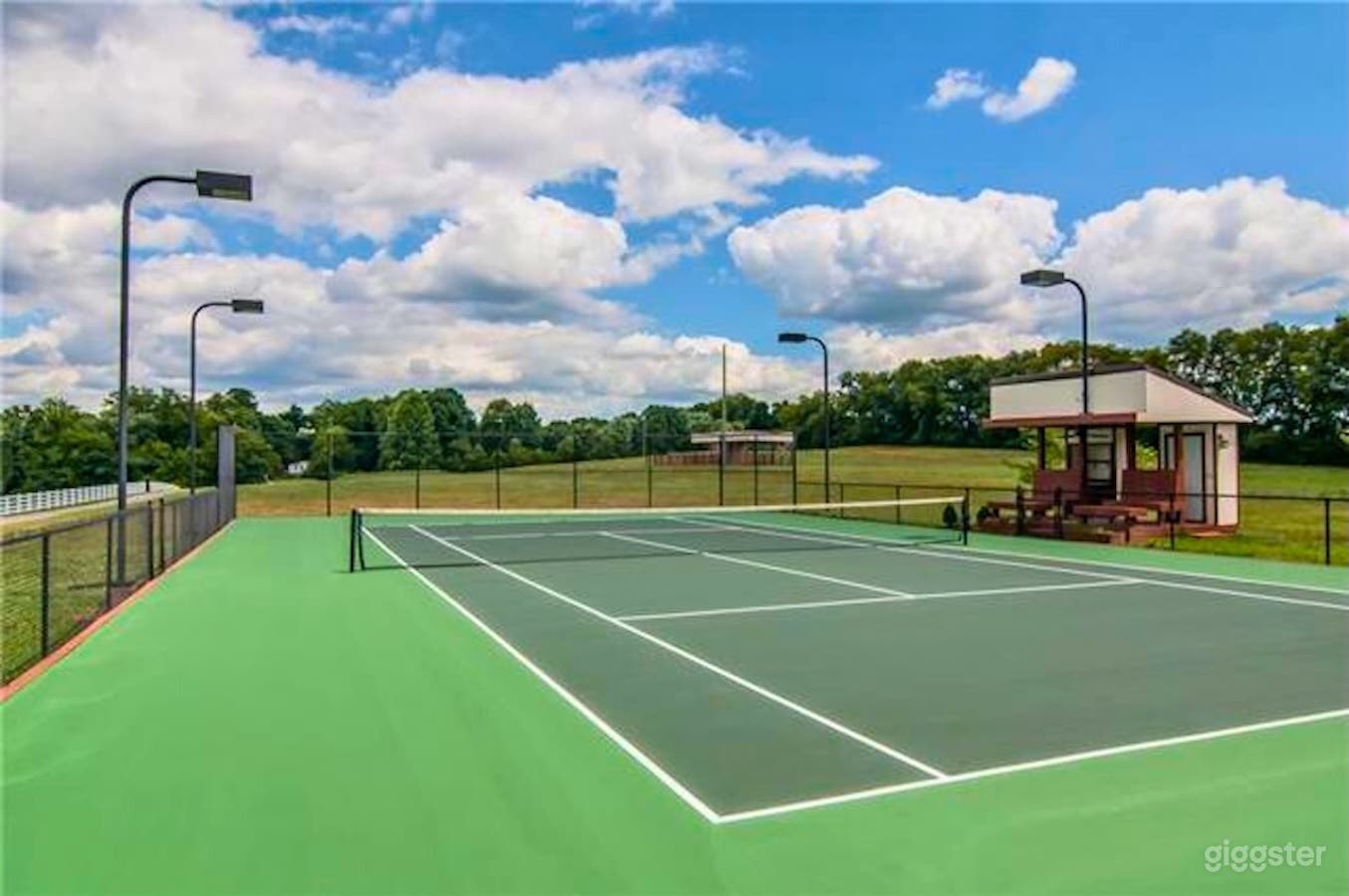 Stunning resort-style former home of Kenny Rogers Photo 4