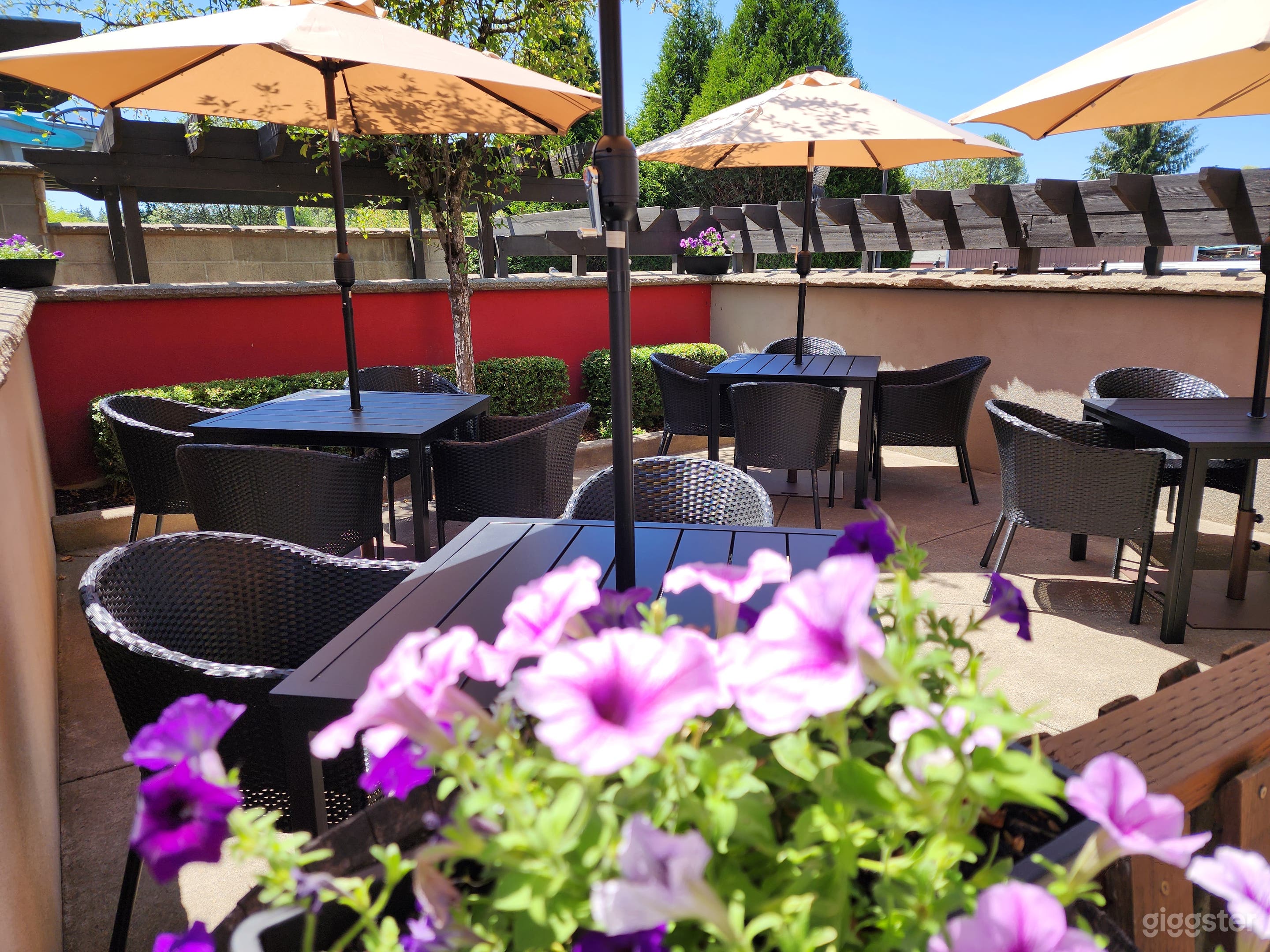 An Elegant and Chic Champagne Lounge Photo 4