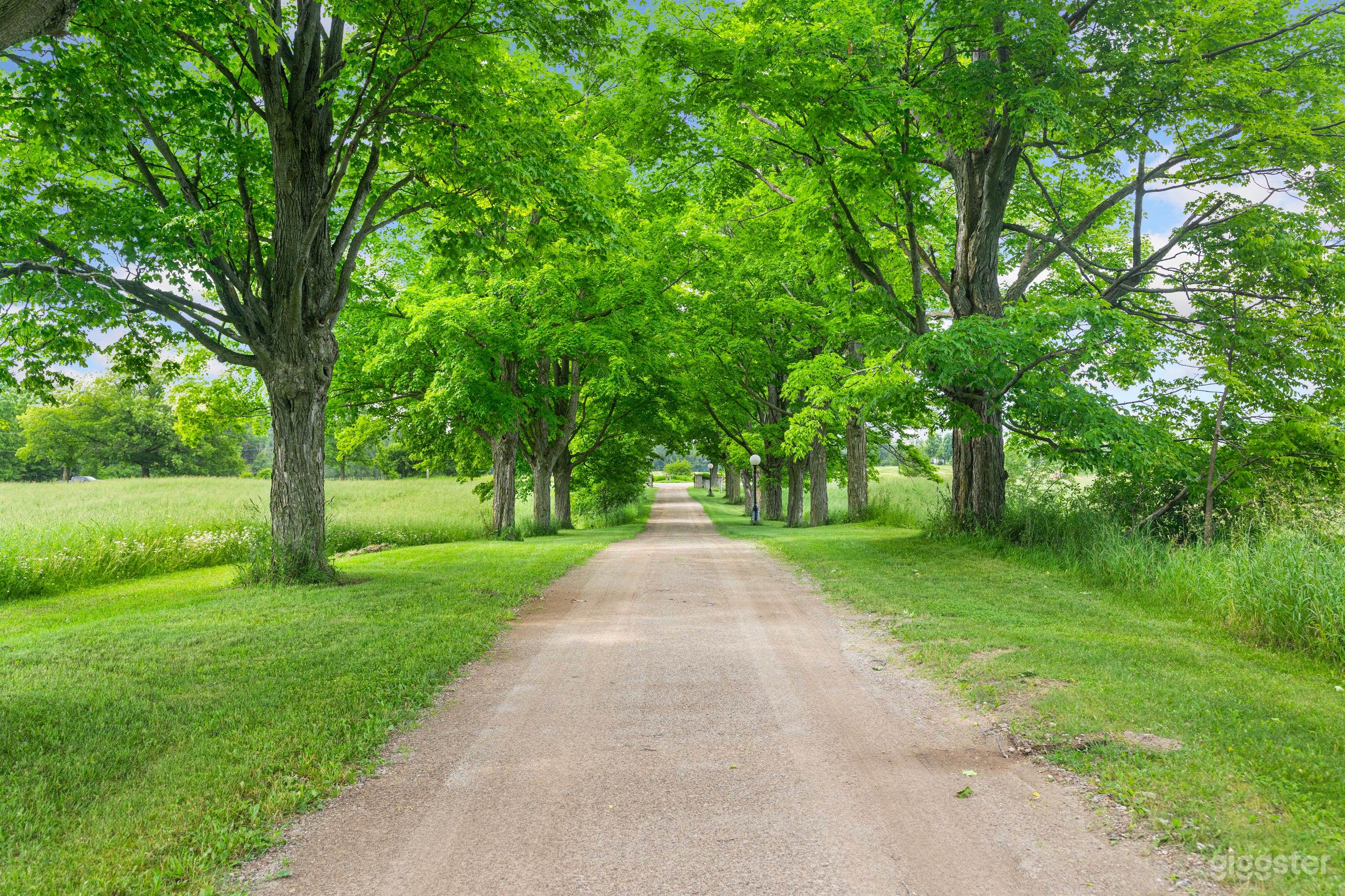 Century Barn on 94 Acres Photo 3