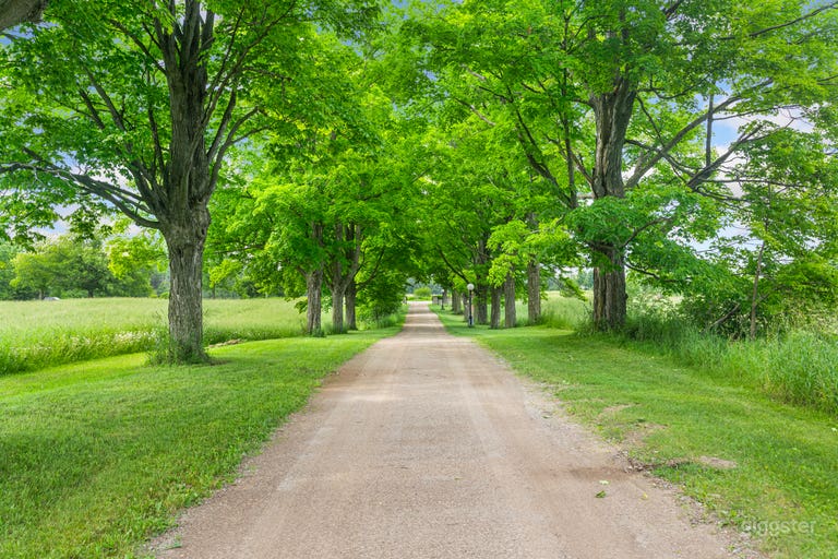  Century Barn on 94 Acres 