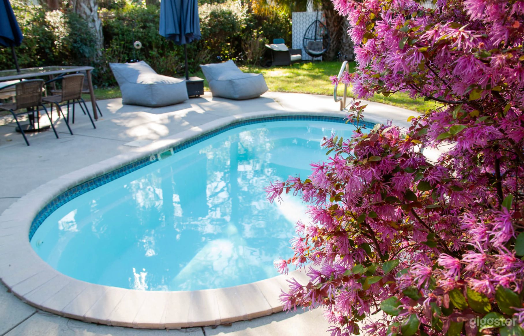 Savannah Midcentury retro home, cocktail pool backyard oasis Photo 3