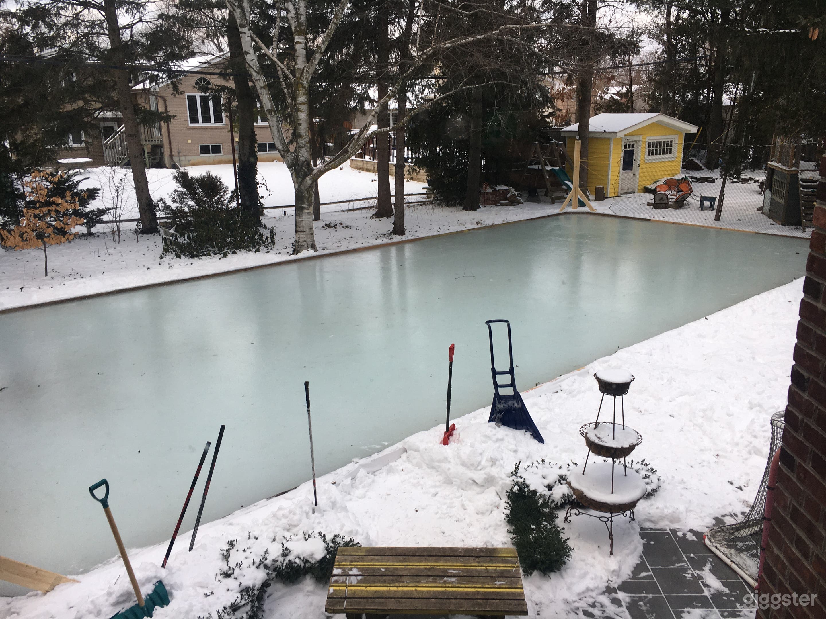 Rink is available typically from November to March.