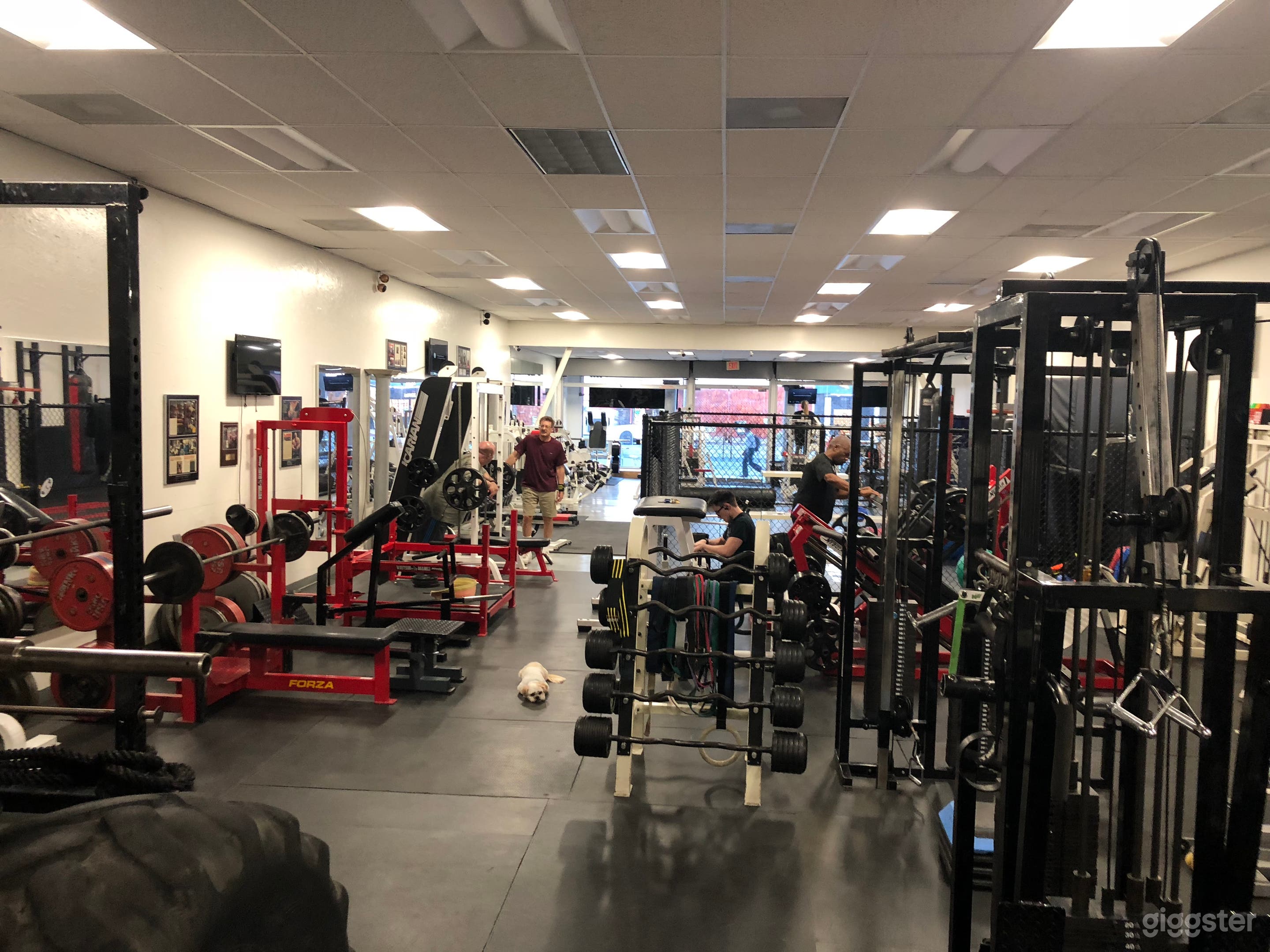 Multiple benches, machines, and platforms