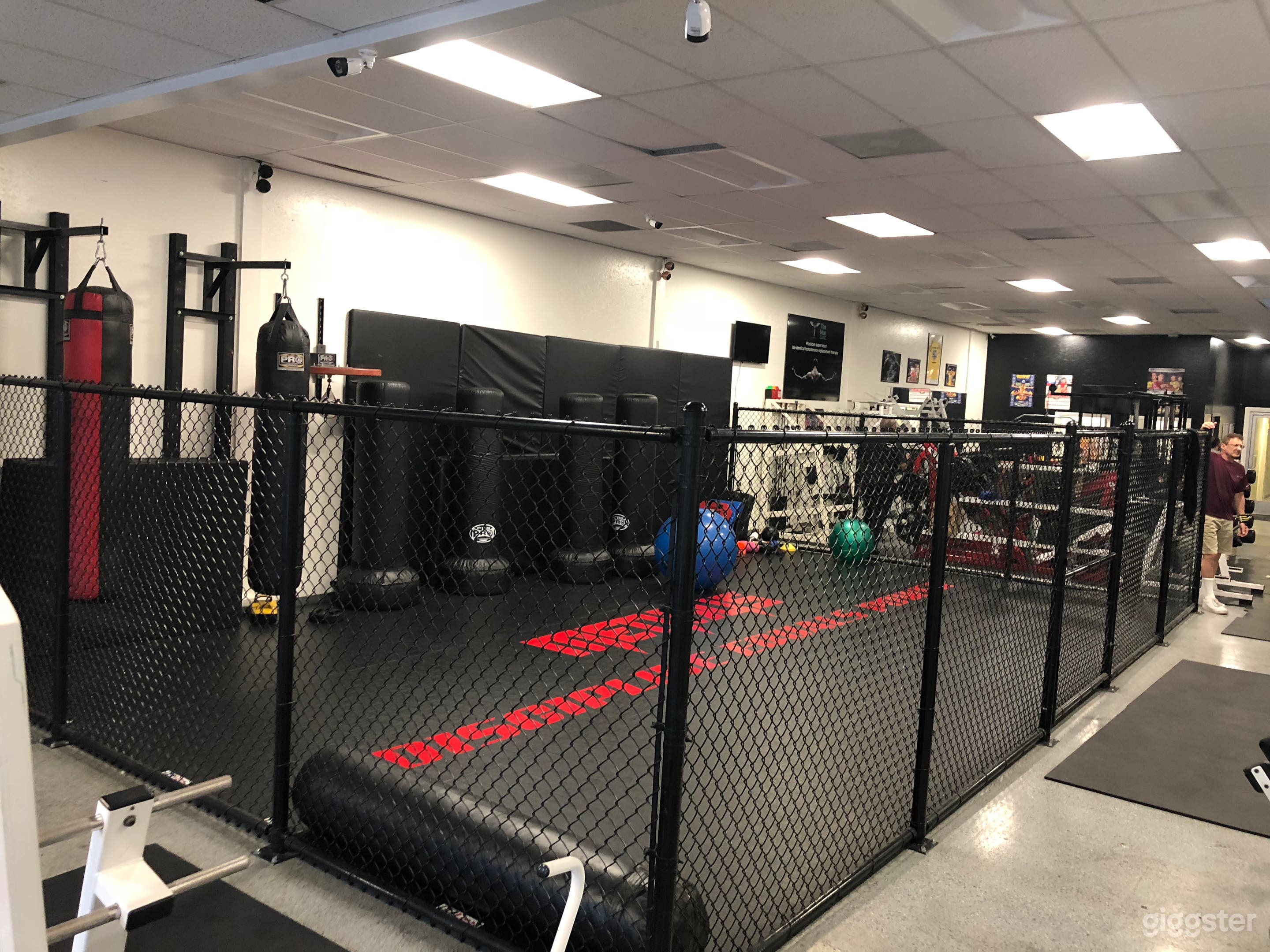 MMA, boxing cage 