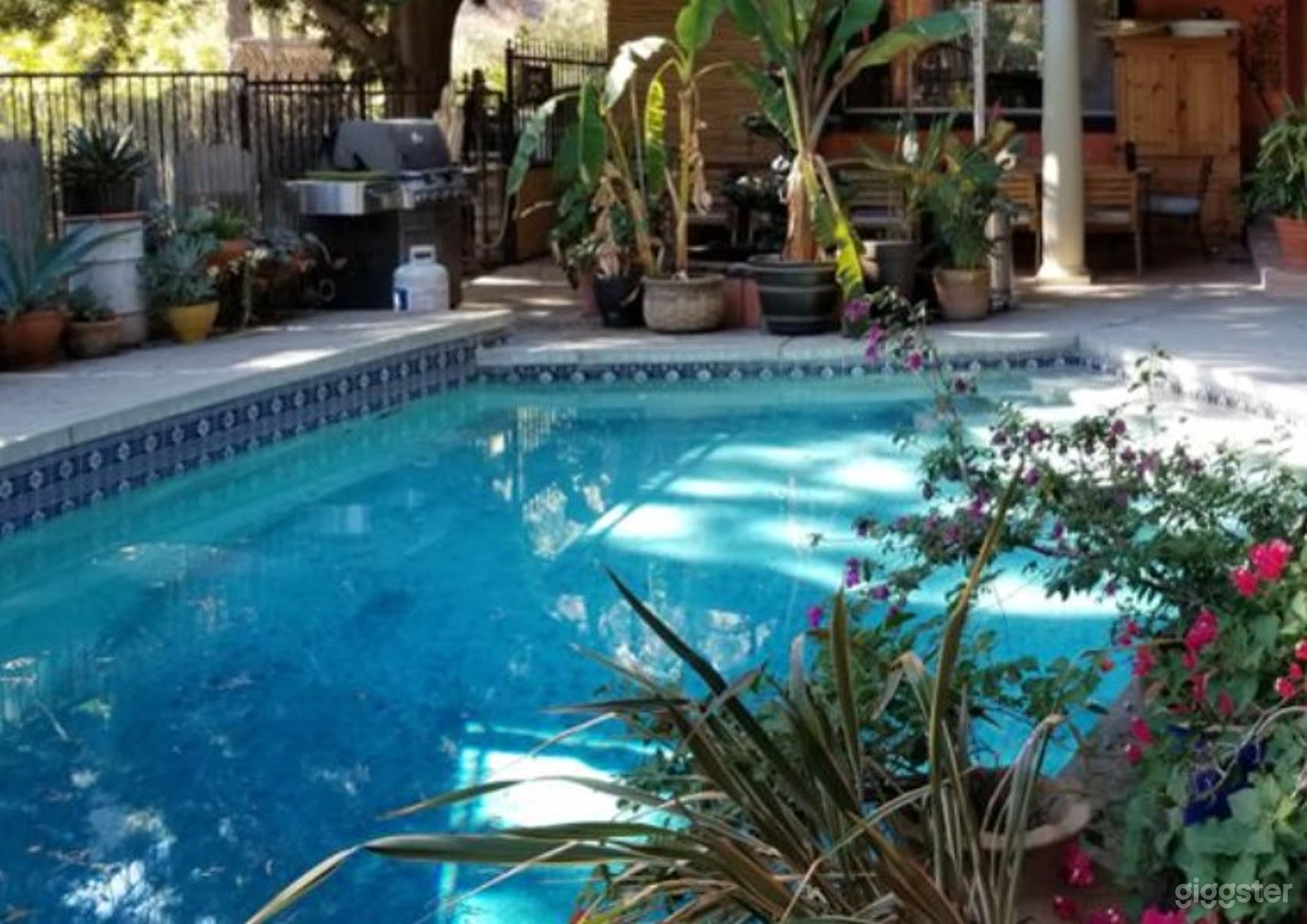 Rustic Mountain Ranch Pool  Photo 1