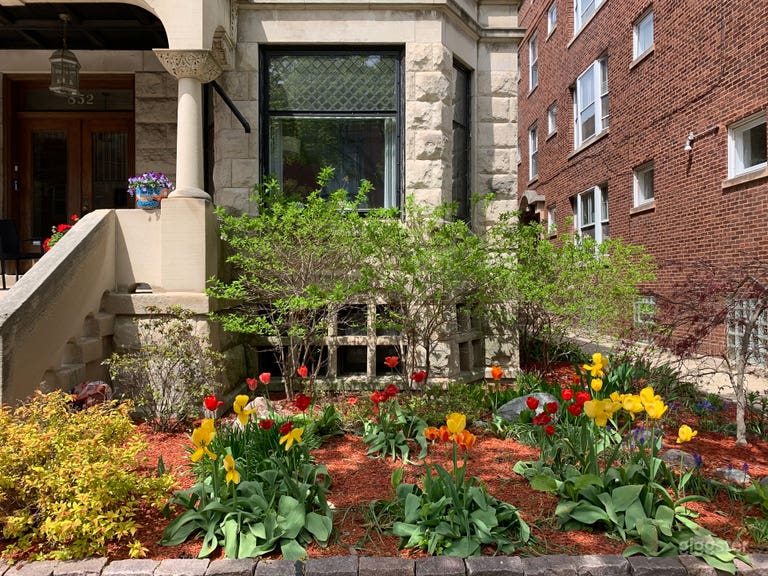  Front view in Spring 