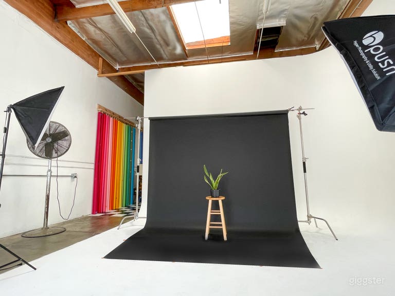  Cyclorama Wall And 50+ Backdrops Natural Daylight 