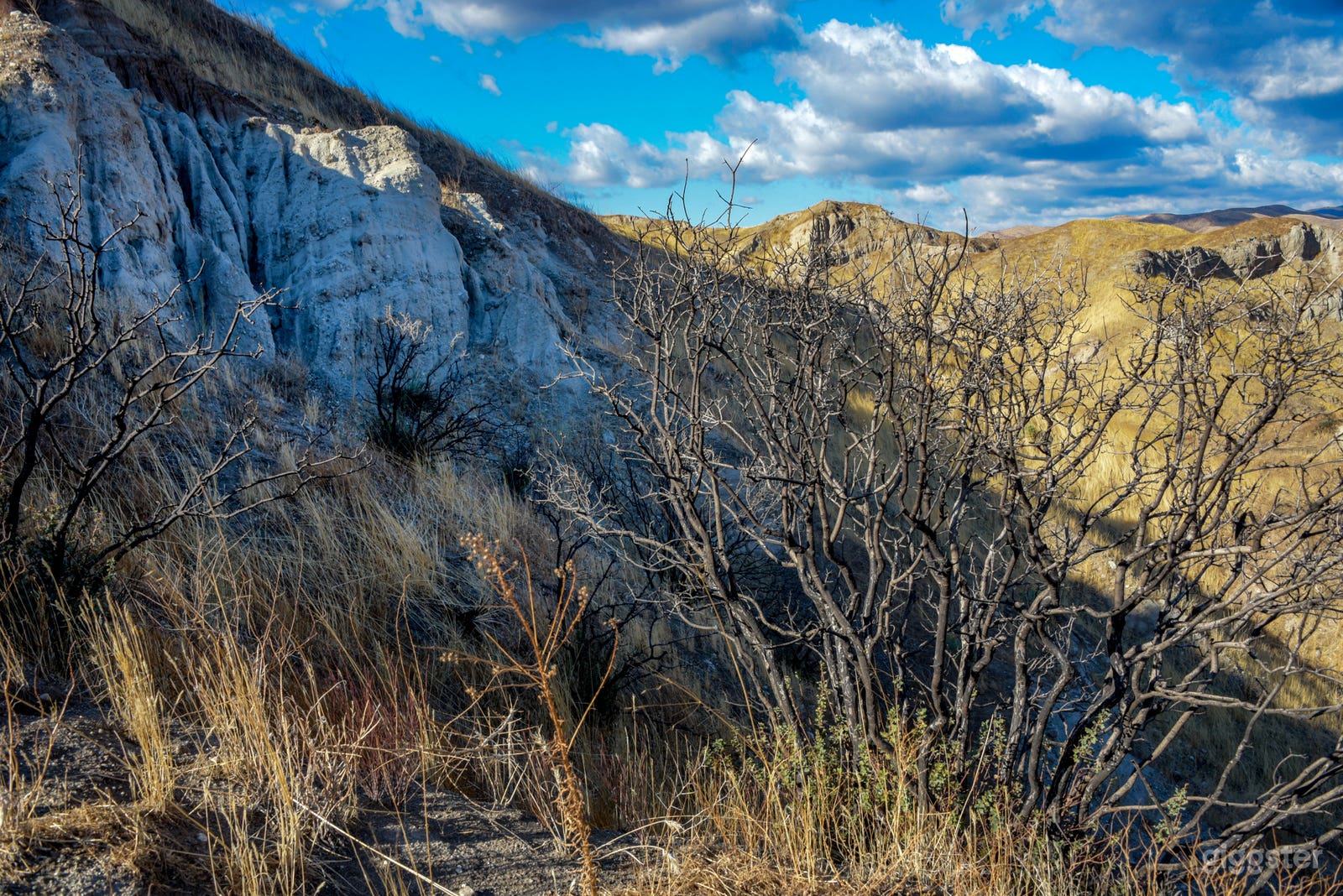 Gas Station, Desert Cliffs, House, Cinematic Meth Trailer Photo 3