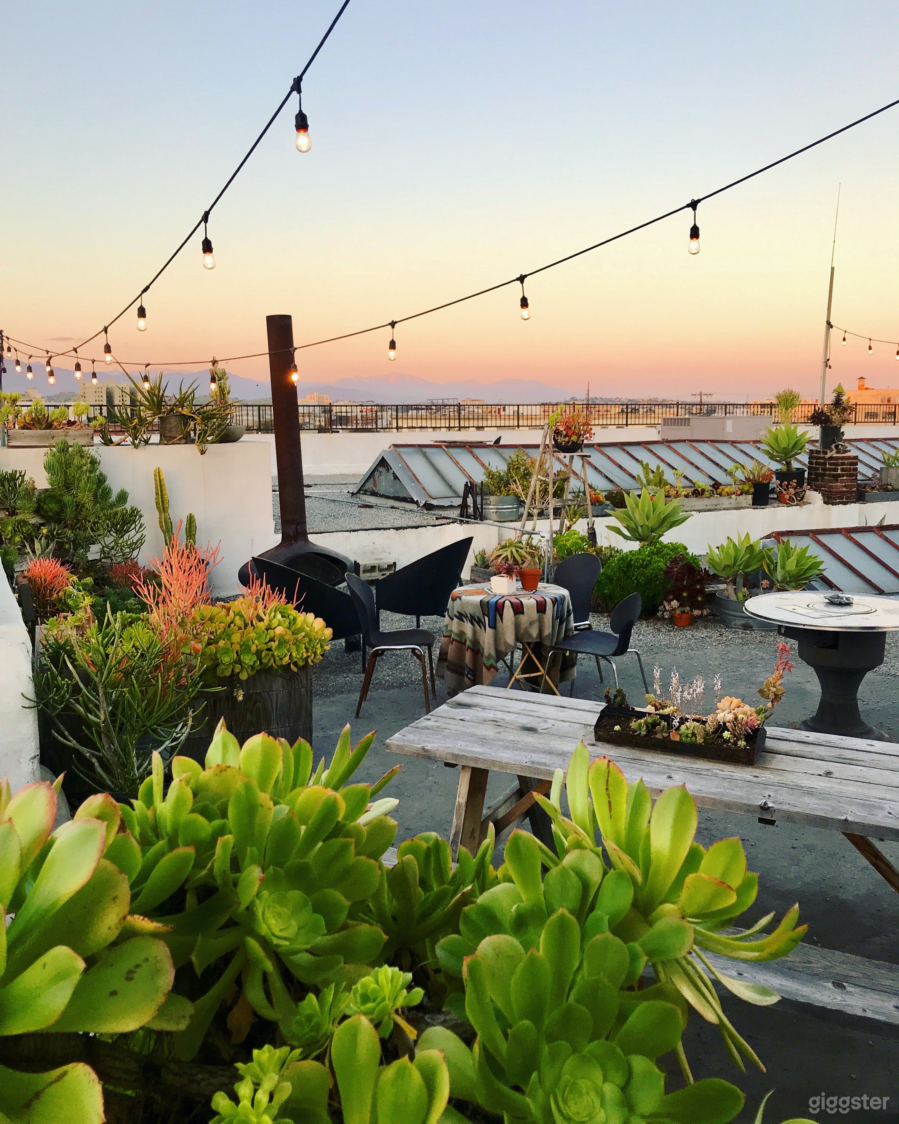 Sky Garden Rooftop City Skyline View Photo 3