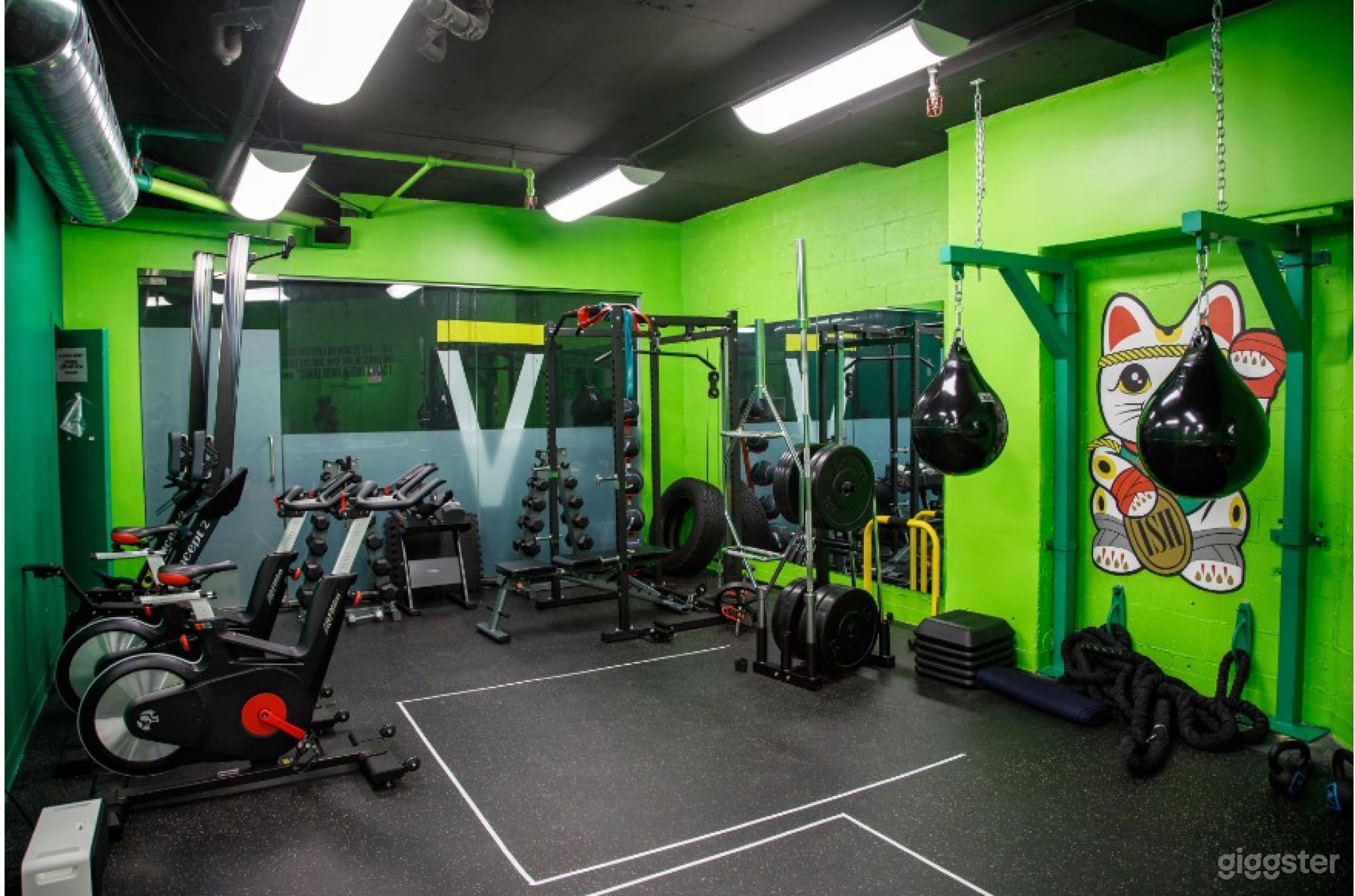 Complete Set Up Fitness Studio In Toronto Photo 4