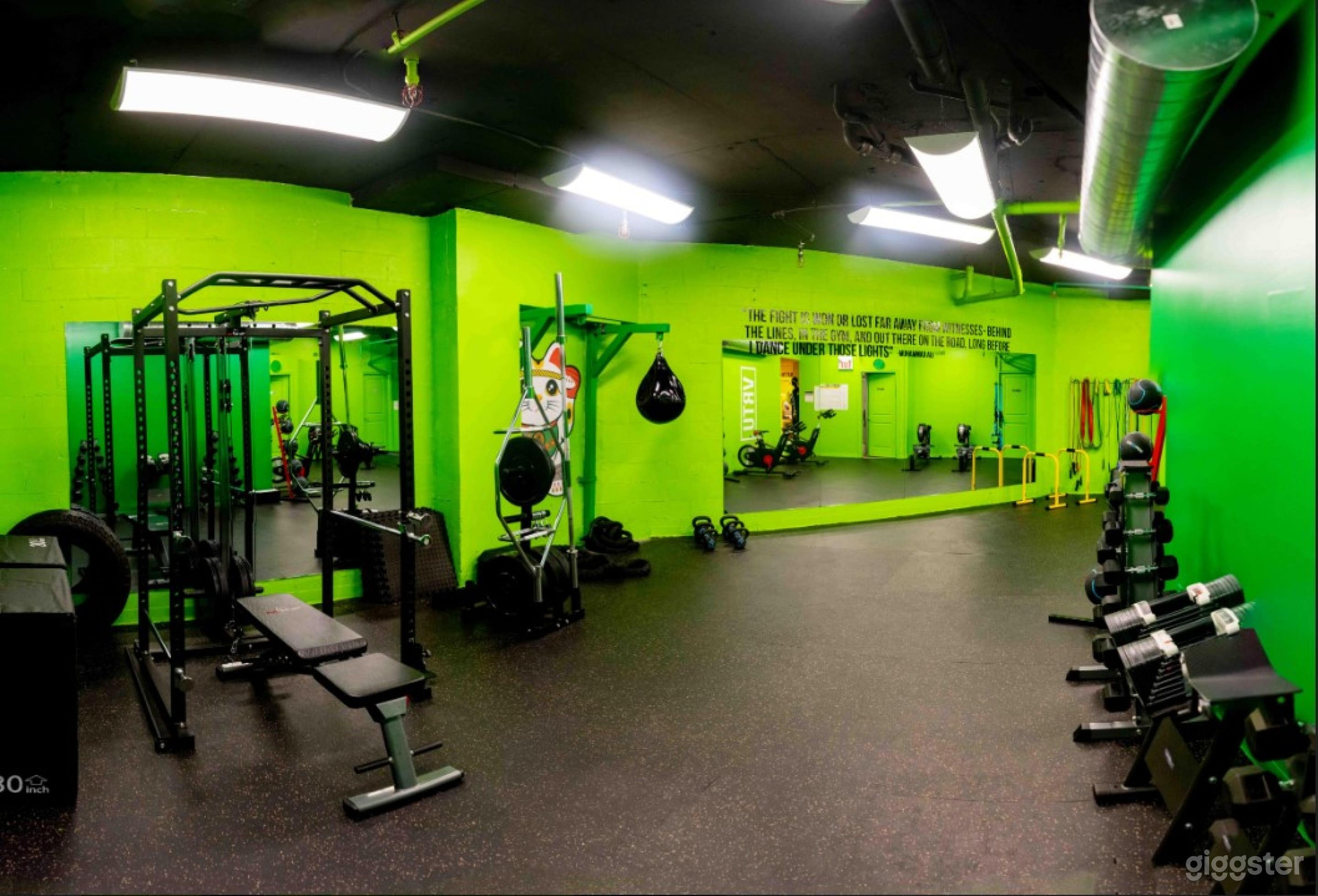 Complete Set Up Fitness Studio In Toronto Photo 1