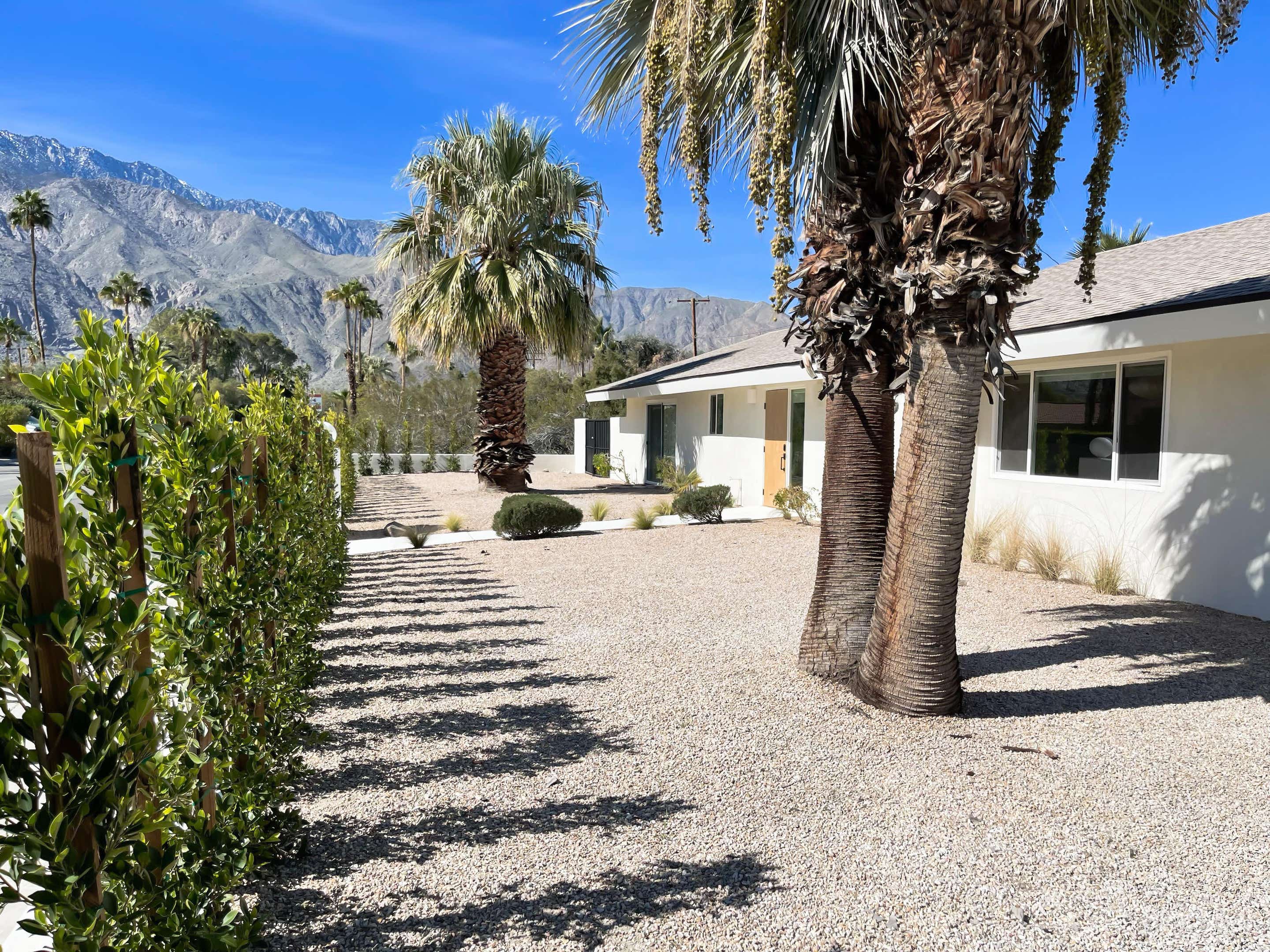 Front Yard (hedging is larger now)