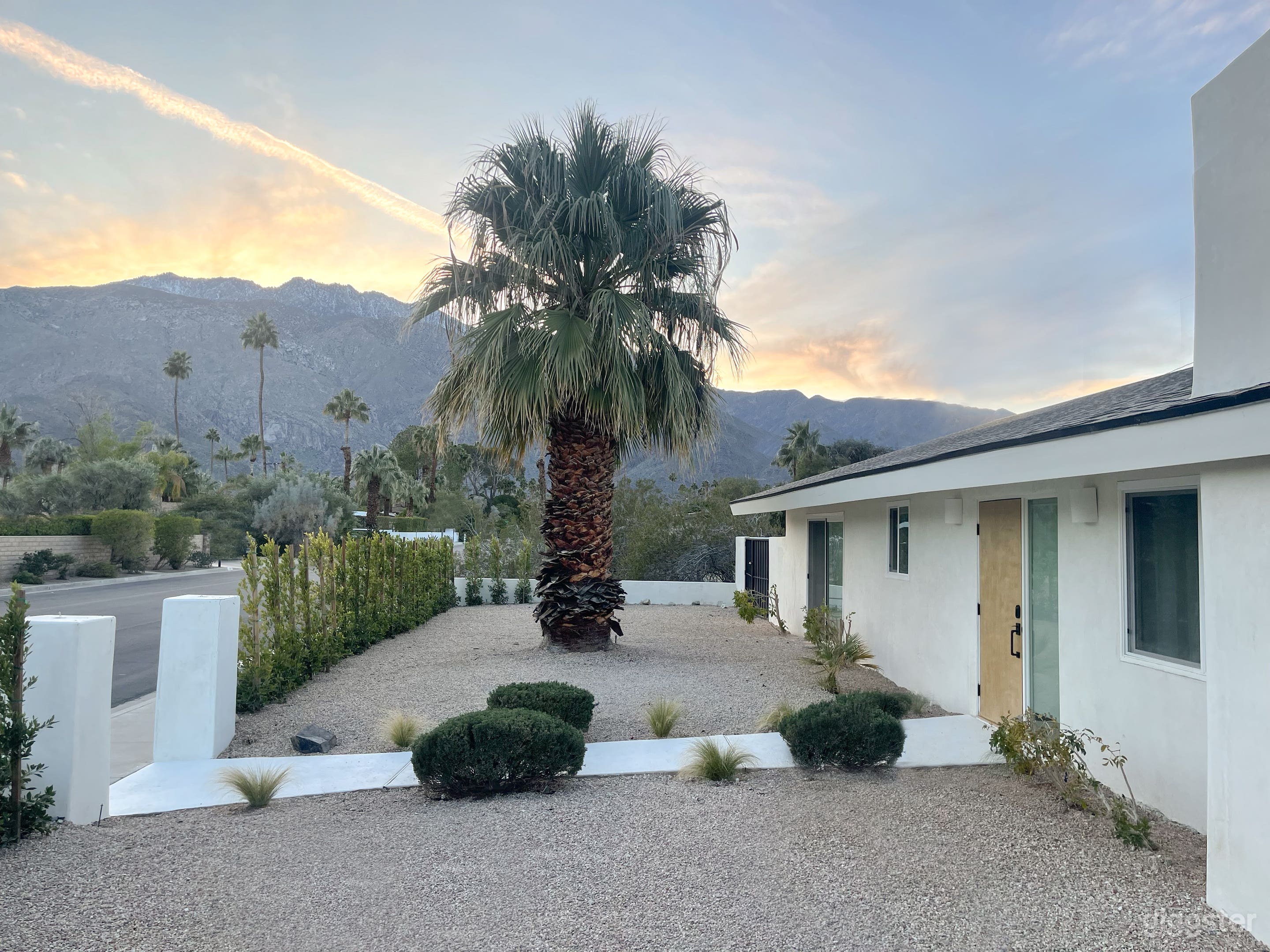 Front Yard (heding is larger now)