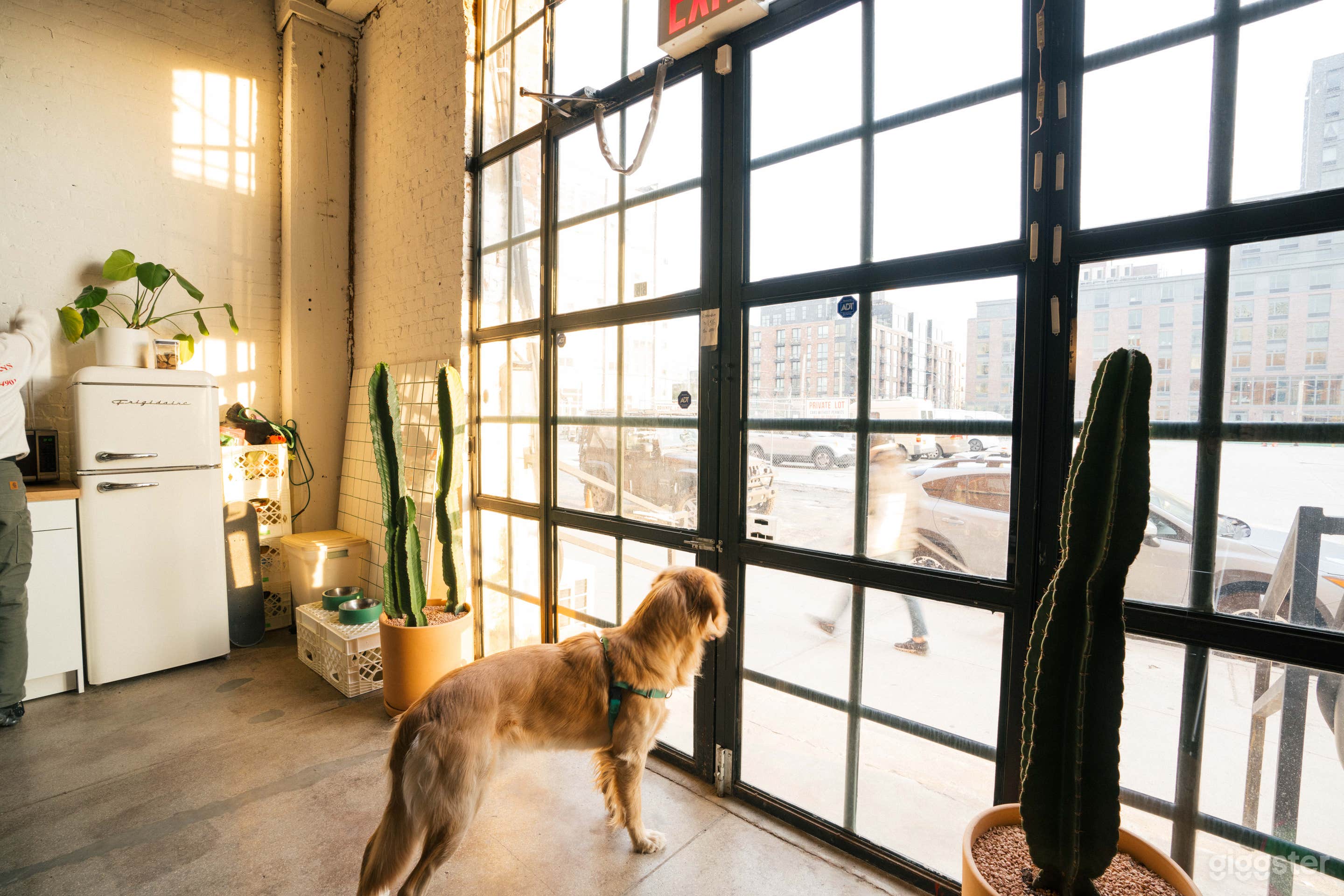 Big window/doors that allows tons of natural light and easy street access. 