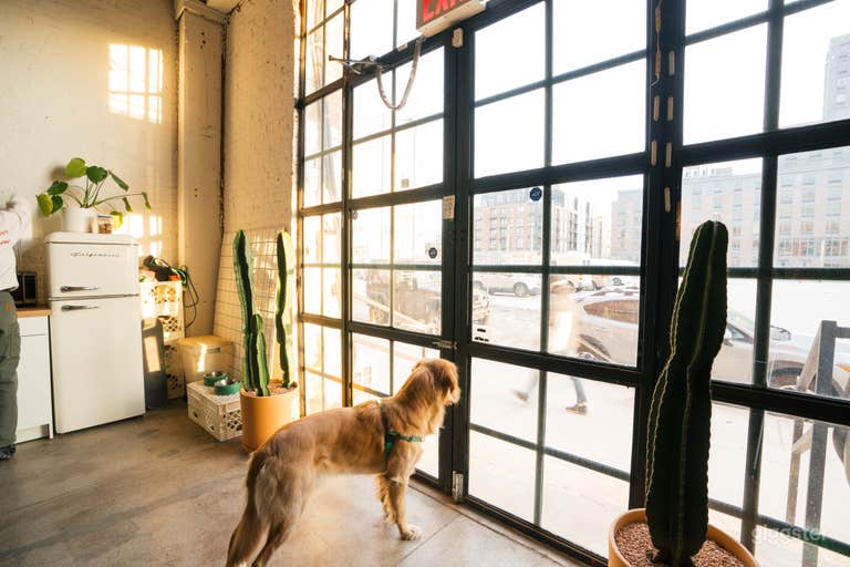  Big window/doors that allows tons of natural light and easy street access.  