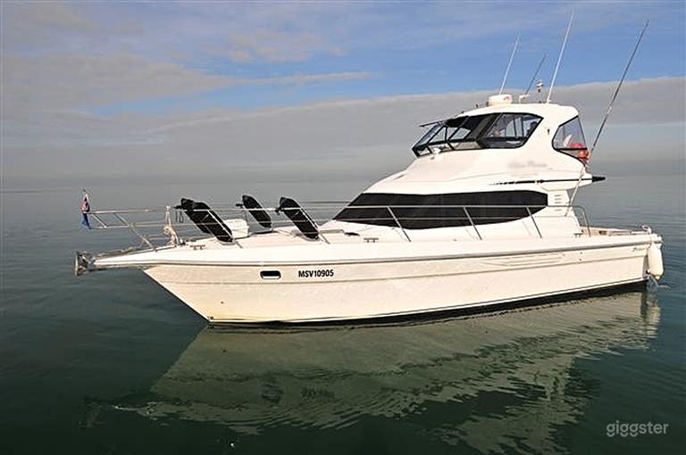  45ft Luxury Cruiser Designed Boat Hire 